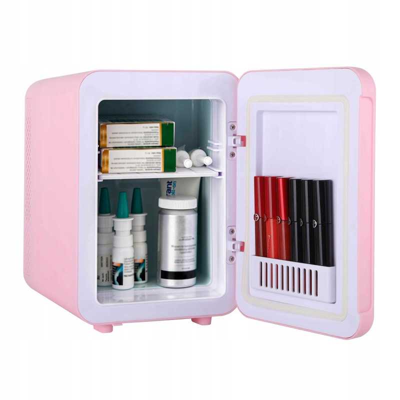 Portable Car Fridge 4l 12v Ac 230v, Cooling And Heating Function