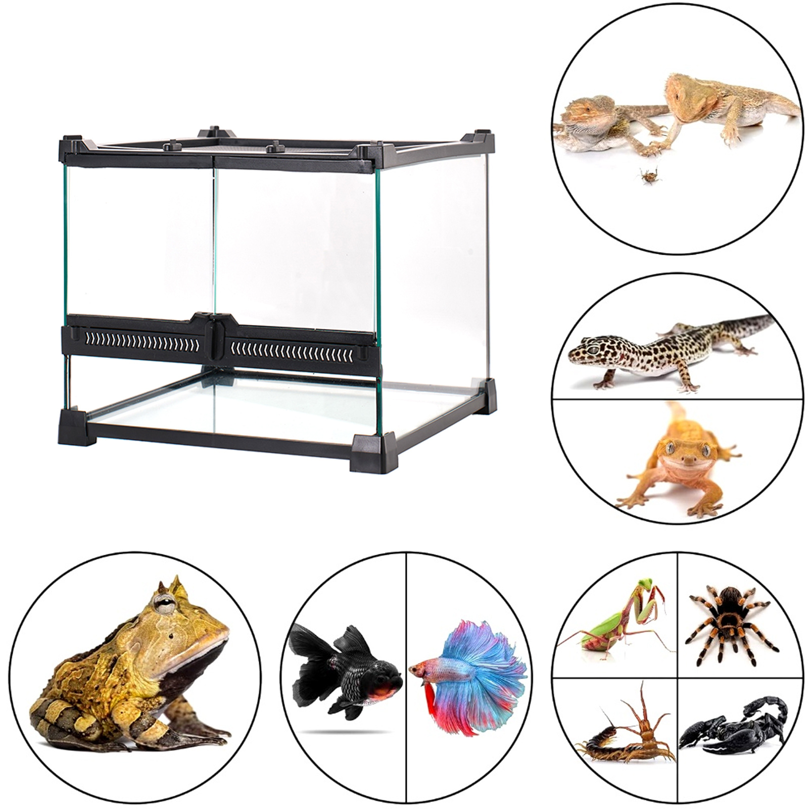 Tempered Glass Reptile Terrarium for Horned Frogs & Lizards, Single/Double Door