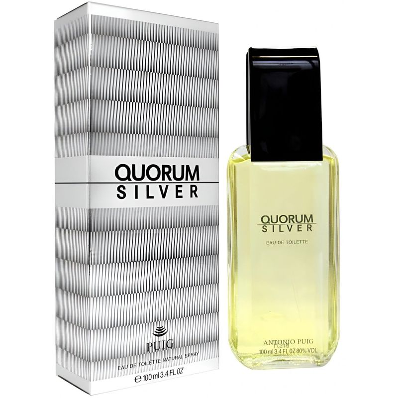 ANTONIO PUIG Men's Quorum Silver Eau de Toilette in Clear | Size: 100ml