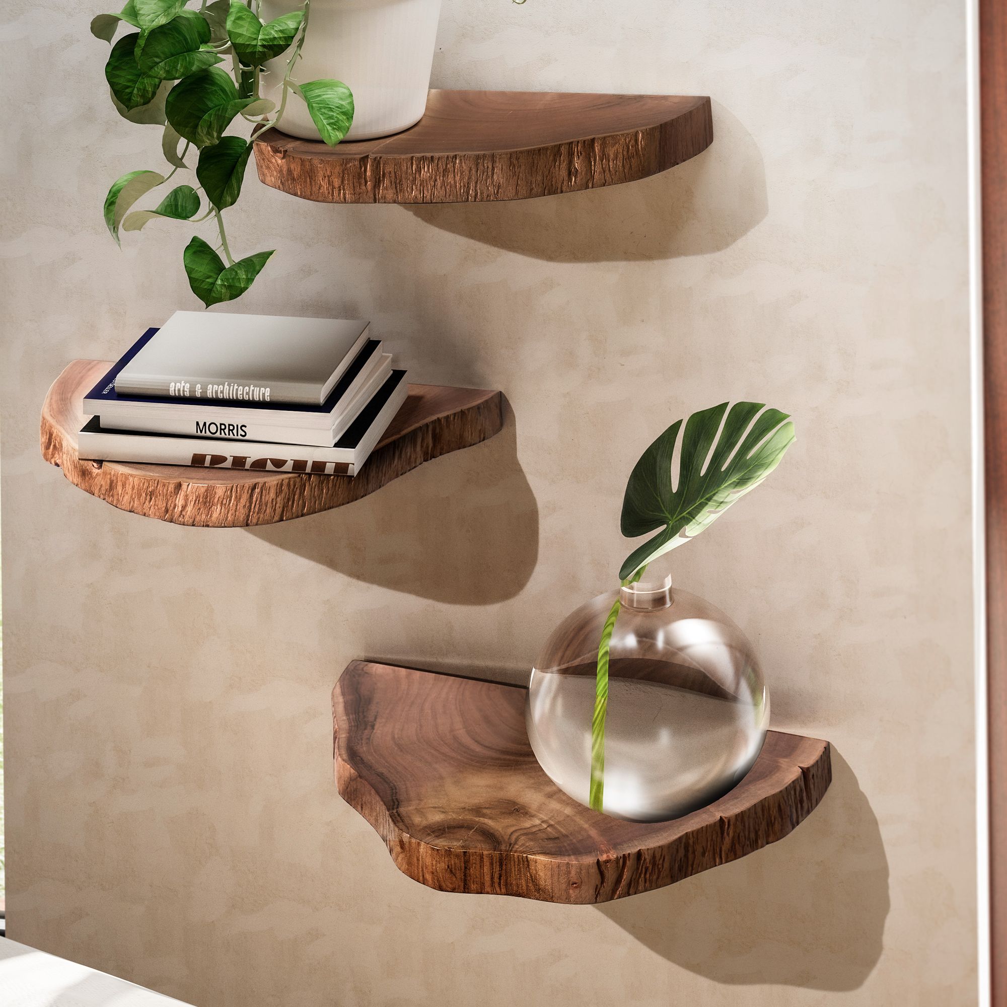 Image of 3-piece Acacia Solid Wood Wall Shelf Set, Tree Hanging Shelf, Natural Plant Ladder For The Wall, Floating Shelf With Tree Edge, Trunk Flower Ladder