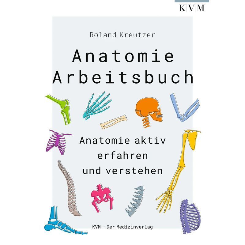 Image of Anatomy Workbook - Paperback - Actively Experience And Understand Anatomy - Roland Kreutzer - Spiral Binding - 364 Pages - German - 2024 - Kvm Der Medizinverlag - Ean 9783868677416