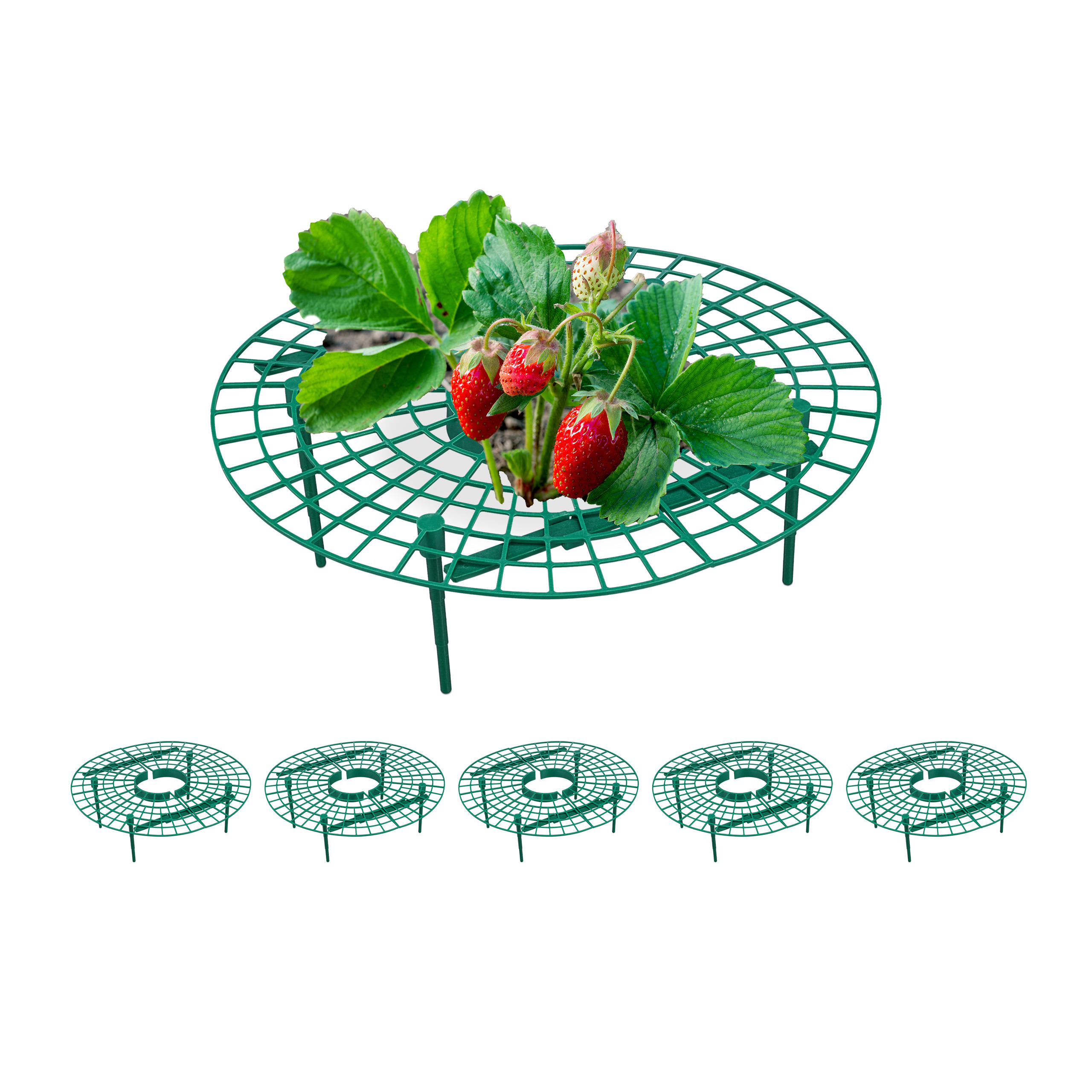 6 X Strawberry Riper