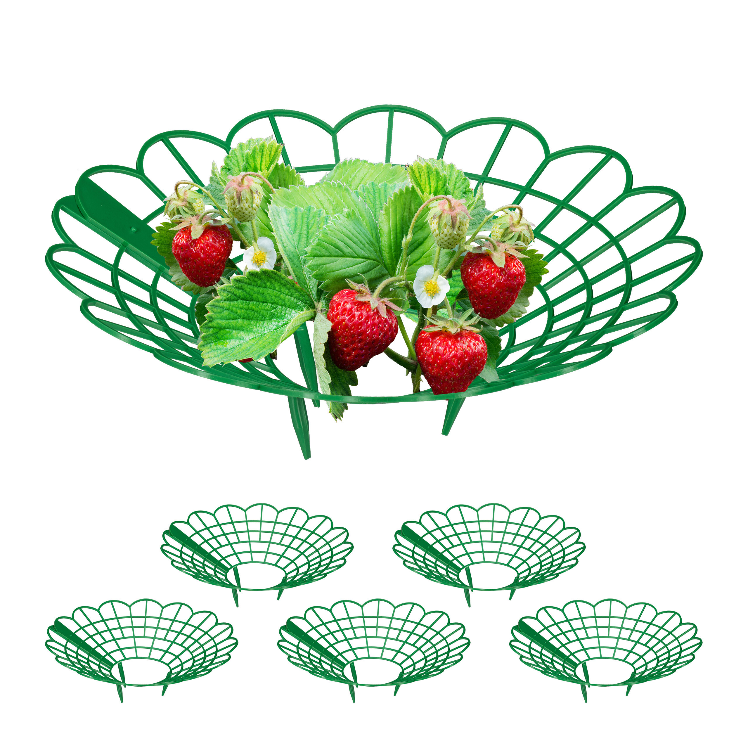 6 X Green Strawberry Supports - (h)10 X Ø 30 Cm