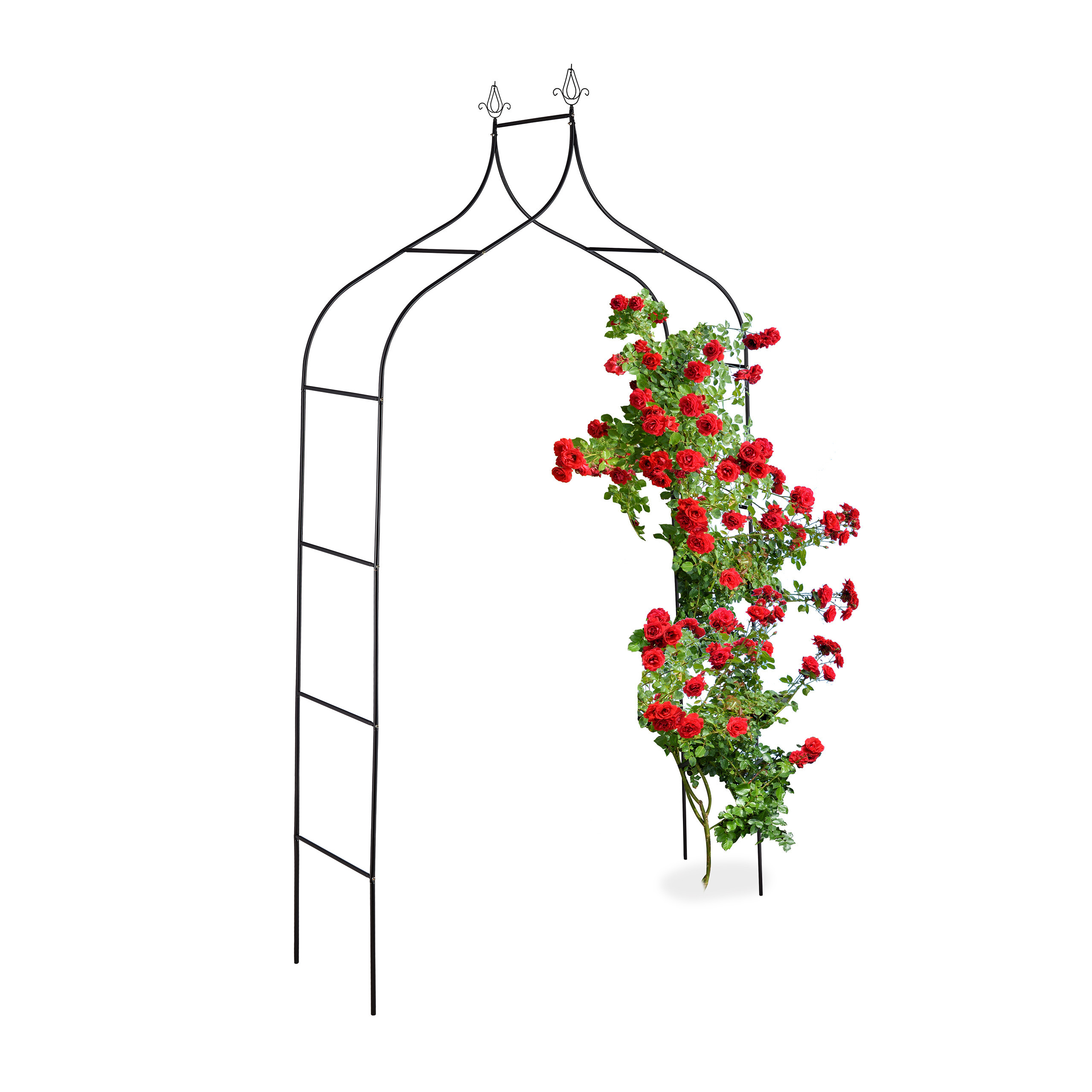 E-shop Rosenbogen in Schwarz - (B)140 x (H)260 x (T)38 cm