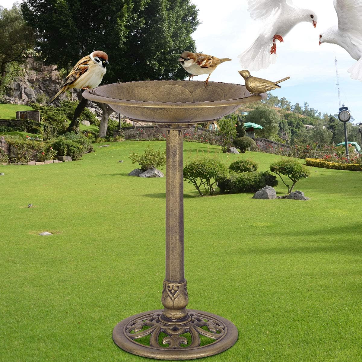 Bird Feeder Bird Bath Bird Drink Feeding Station Bird Feeder 50x76cm