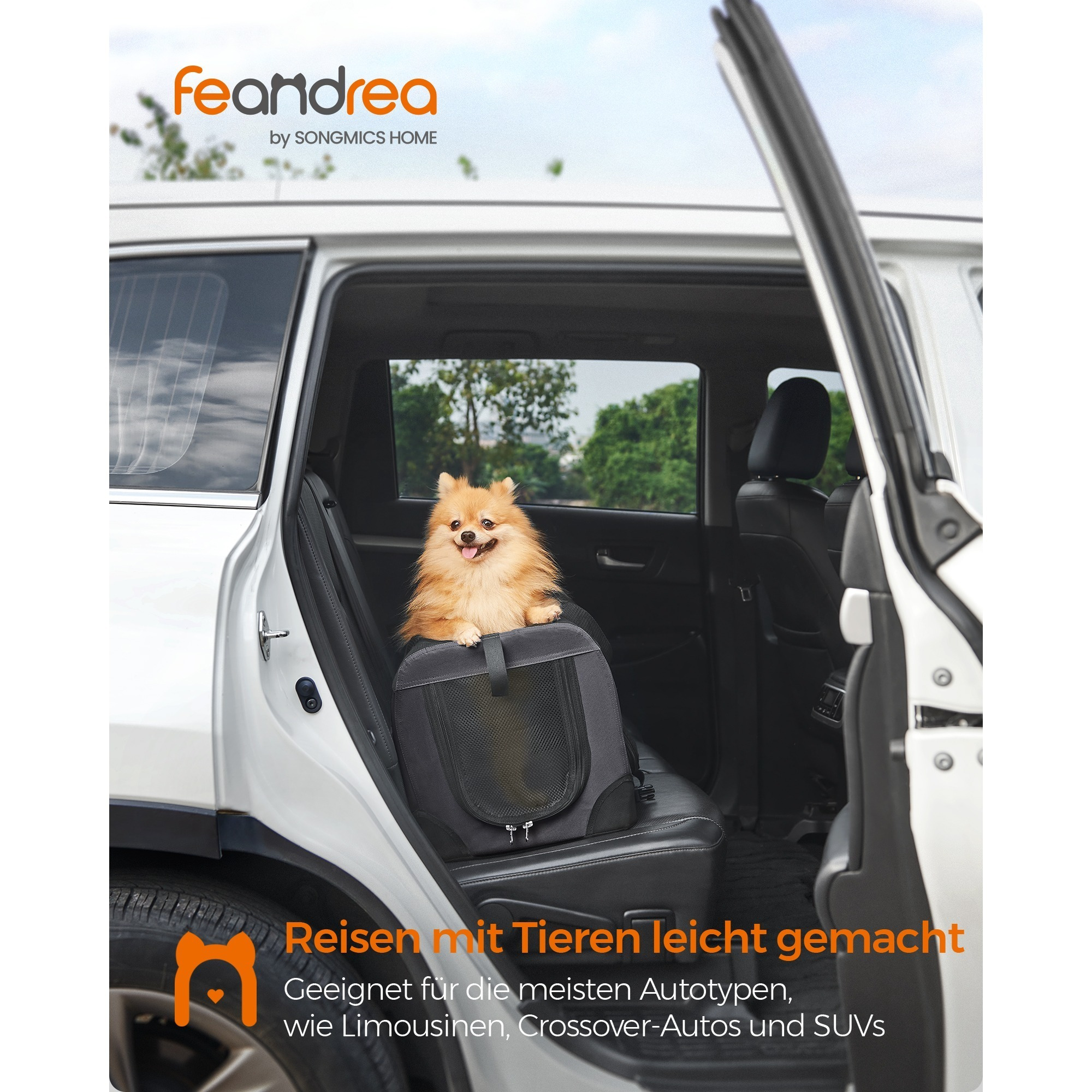 

Feandrea Dog Crate Foldable, Dog Transport Box, Dog Bag, Oxford Fabric, Mesh, Breathable Portable, Metal Frame, With Handles, Bags