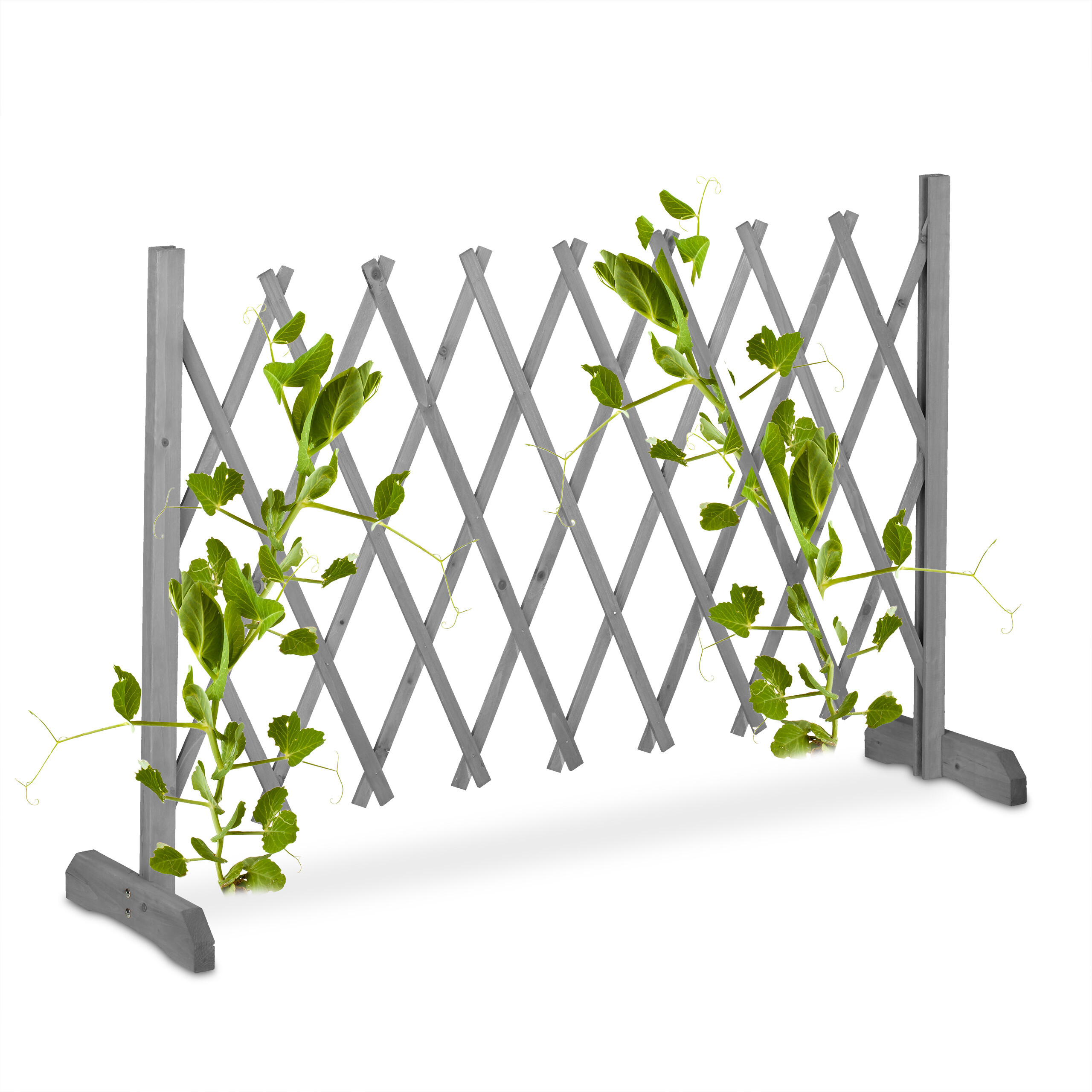 Gray Trellis