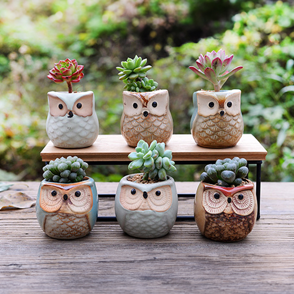 TEMU Ceramic Succulent Planter Pots Mini Size Set Of 6, Cute Owl Bonsai Pots Container Home And Office Decoration Desktop Windowsill Gift For