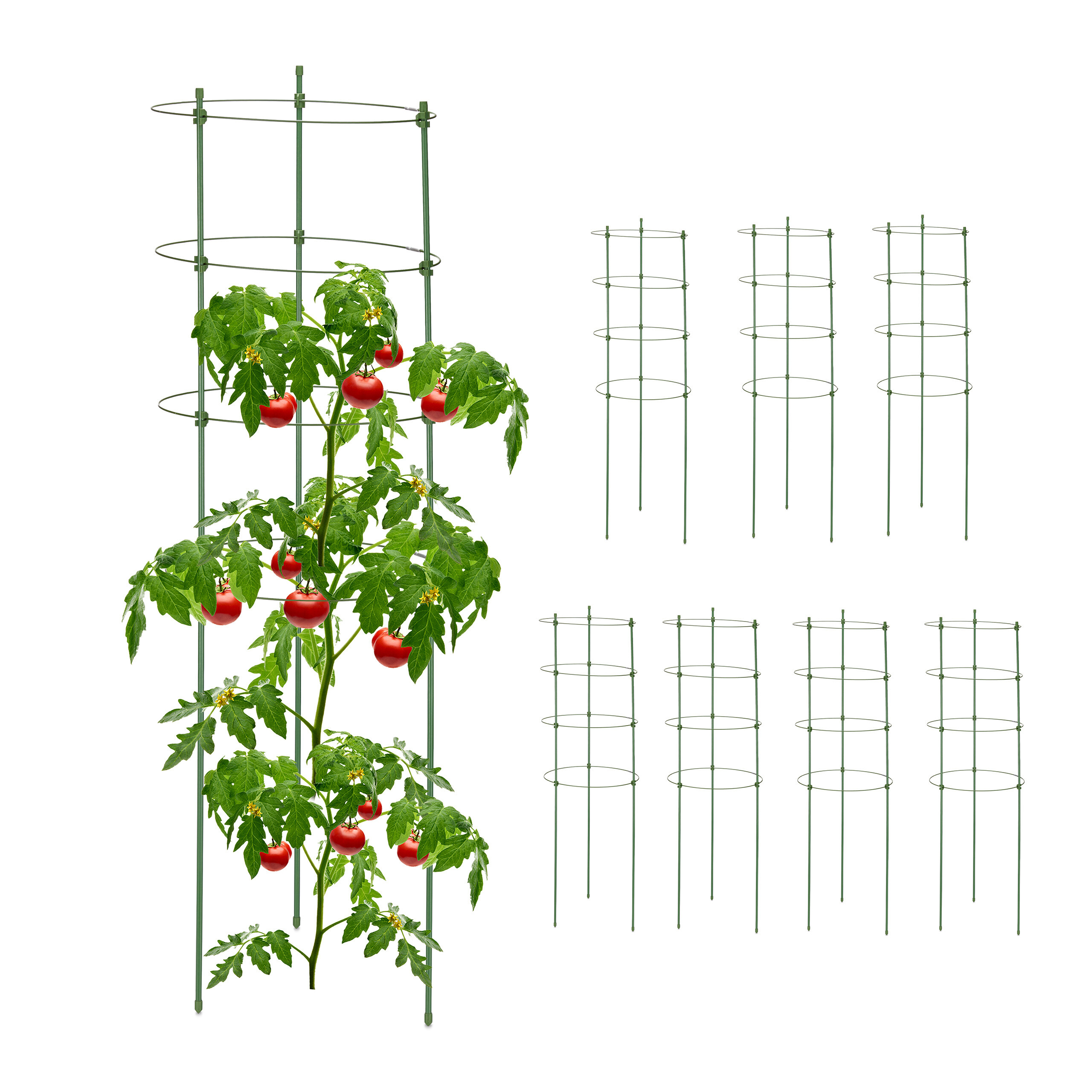 8- Plant Supports - 90 Cm (h) X 28 Cm (d)