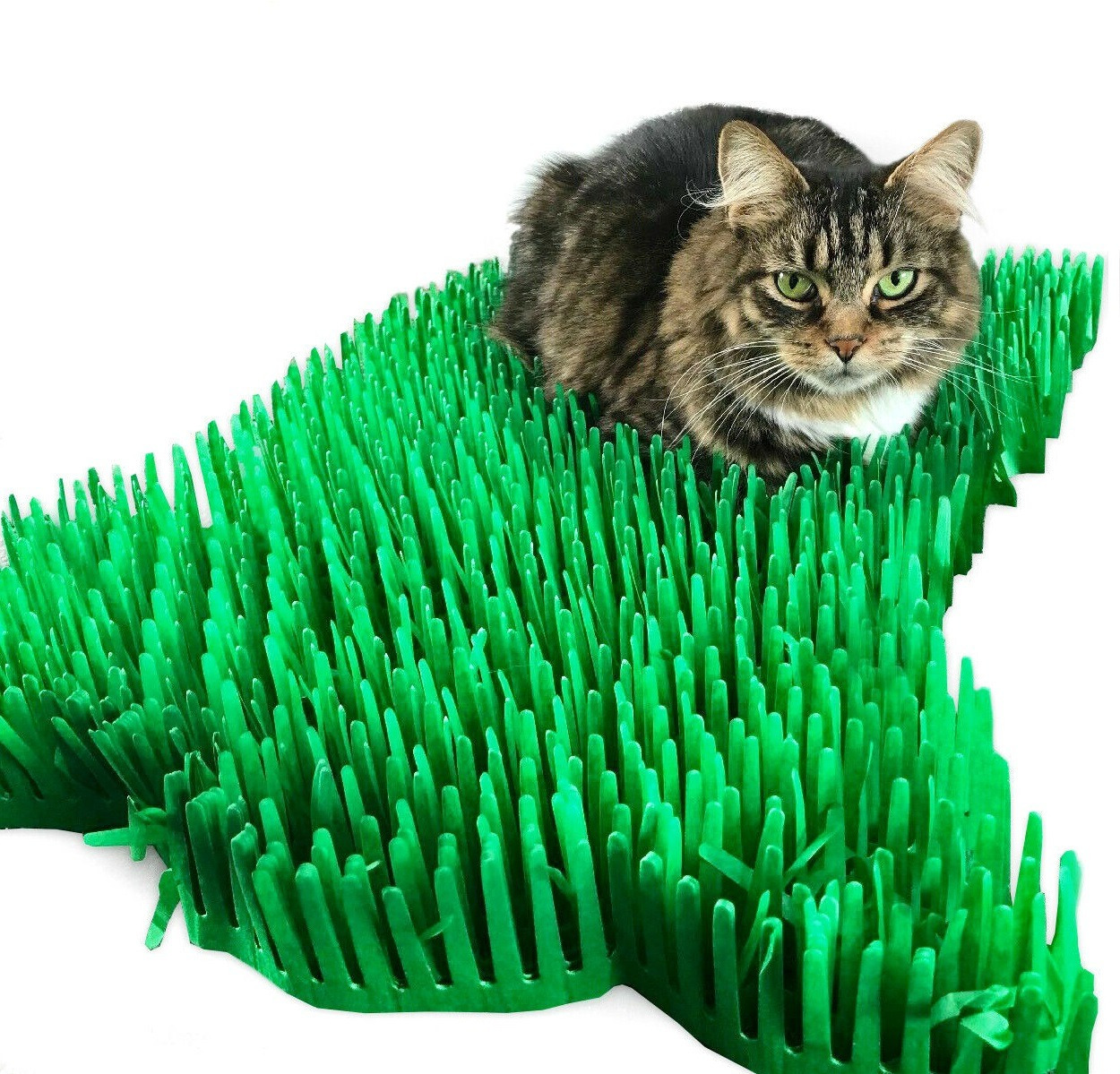 Tissue Paper Cat Mat. Green paper imitation grass play mat - fun for Indoor Cats and Kittens