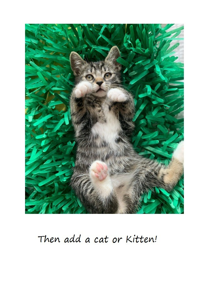 Tissue Paper Cat Mat. Green paper imitation grass play mat - fun for Indoor Cats and Kittens