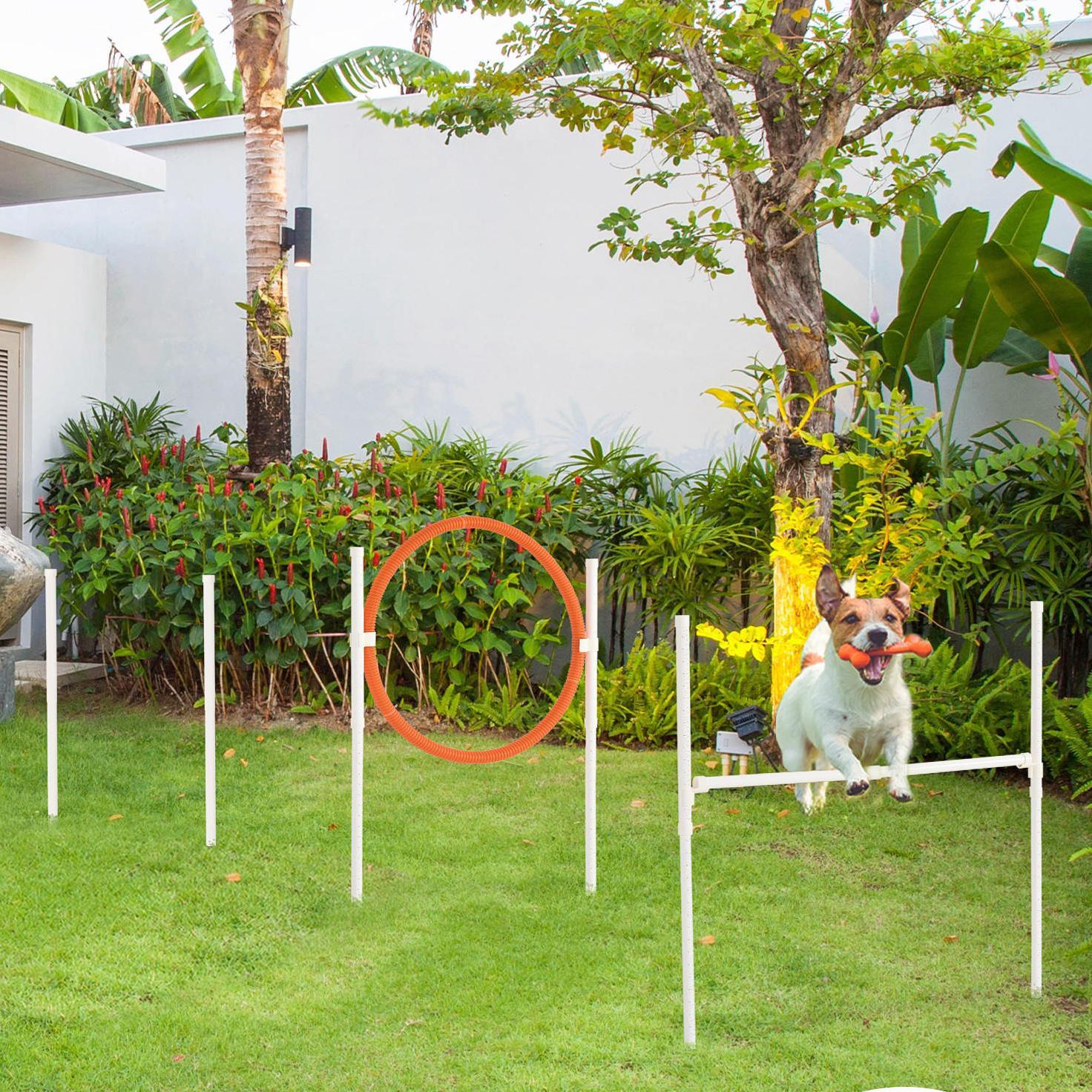 Image of Pawhut Agility Set Dogs, Set Of 5 Dog Training With Height-adjustable Agility , Food Bag, Jumping Ring, Slalom Poles, Set Including Whistle, Carrying Bag