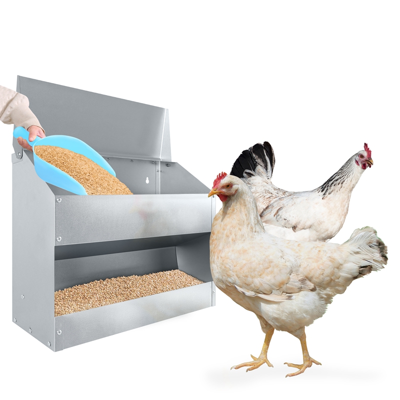 

Mangeoire pour volaille de 15 kg avec couvercle en acier galvanisé, mangeoire pour ferme d'une de 15 kg pour poulets, oies, dindes et canards