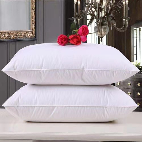 OUTLET PRICE ROSE EMPIRE Premium Duck Feather and Down Pillows with Down Proof Fabric | Hotel Quality Pillow (pack of 2)