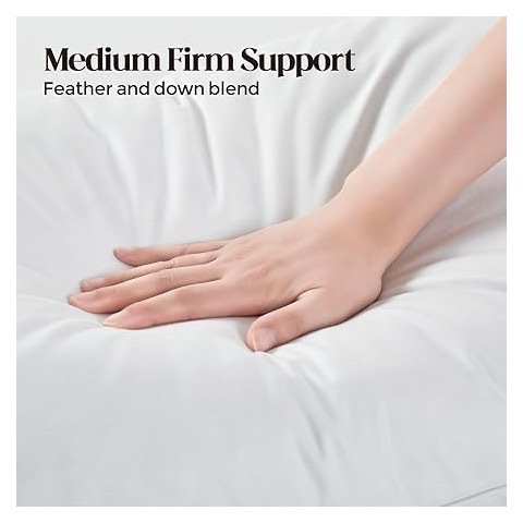 OUTLET PRICE ROSE EMPIRE Premium Duck Feather and Down Pillows with Down Proof Fabric | Hotel Quality Pillow (pack of 2)