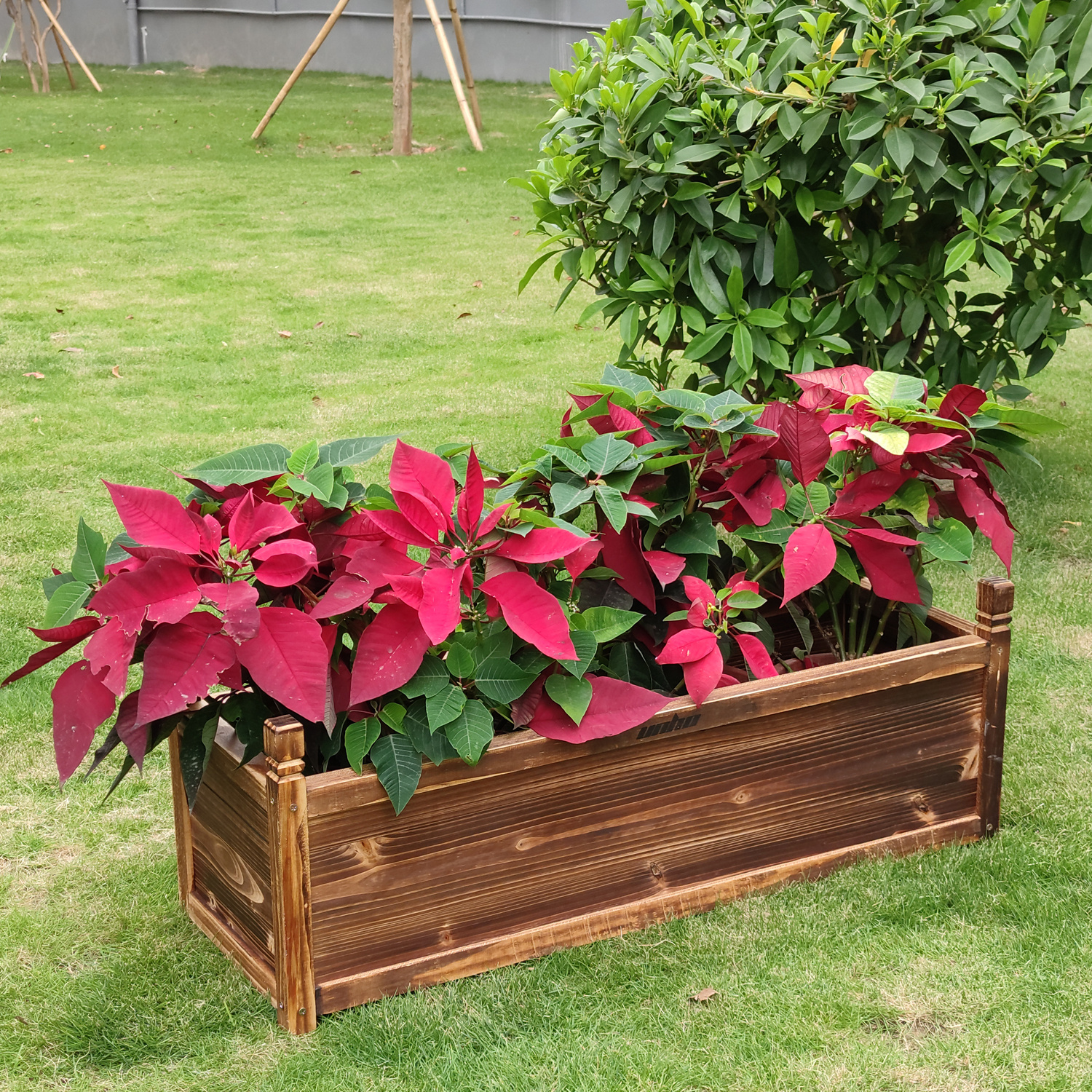 E-shop Outdoor Holz Hochbeet Pflanzgefäß für Gemüse, Gras, Rasen, Hof - Natur