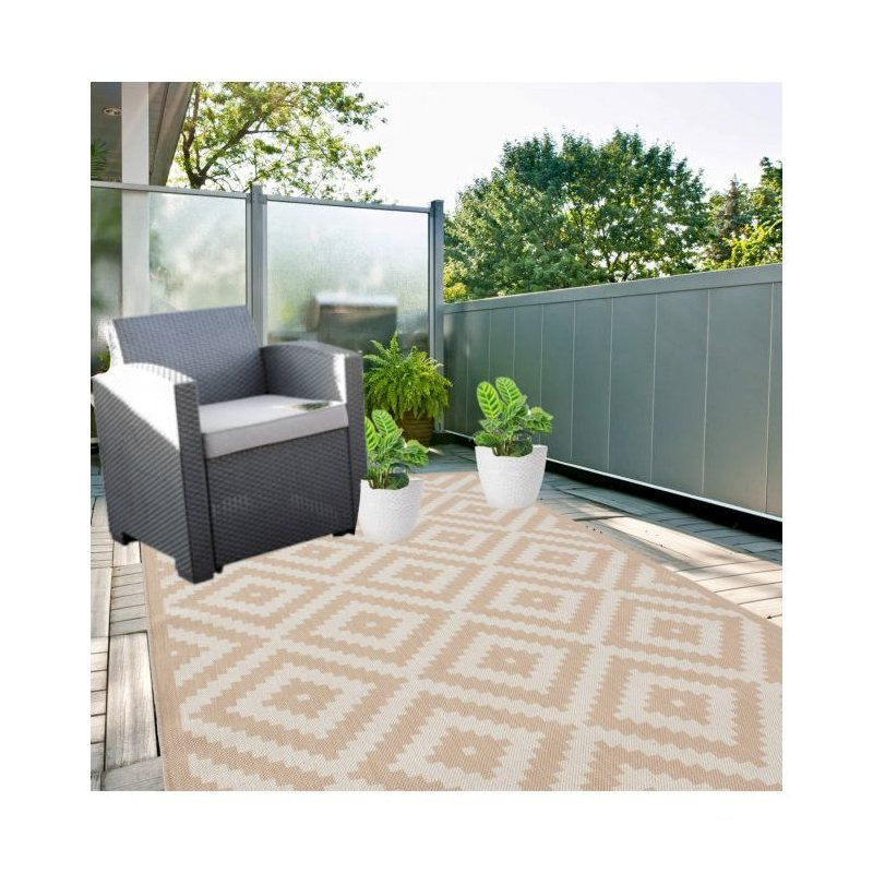 TEMU Indoor Outdoor Rug