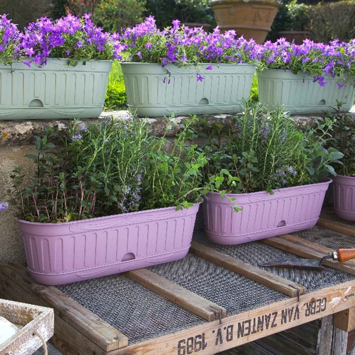 Small - Set Of 6 Lavender Planters