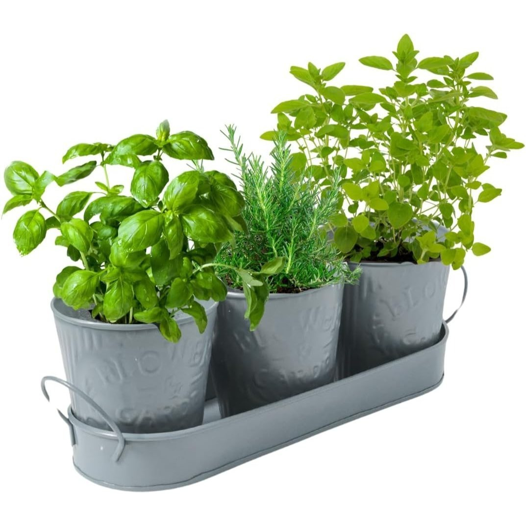 TEMU – Set Of 3 Metal Plant Pots With Drip Tray | Embossed Indoor & Outdoor Plant Pots For Garden, Windowsill, Kitchen & Desk | Decorative Metal