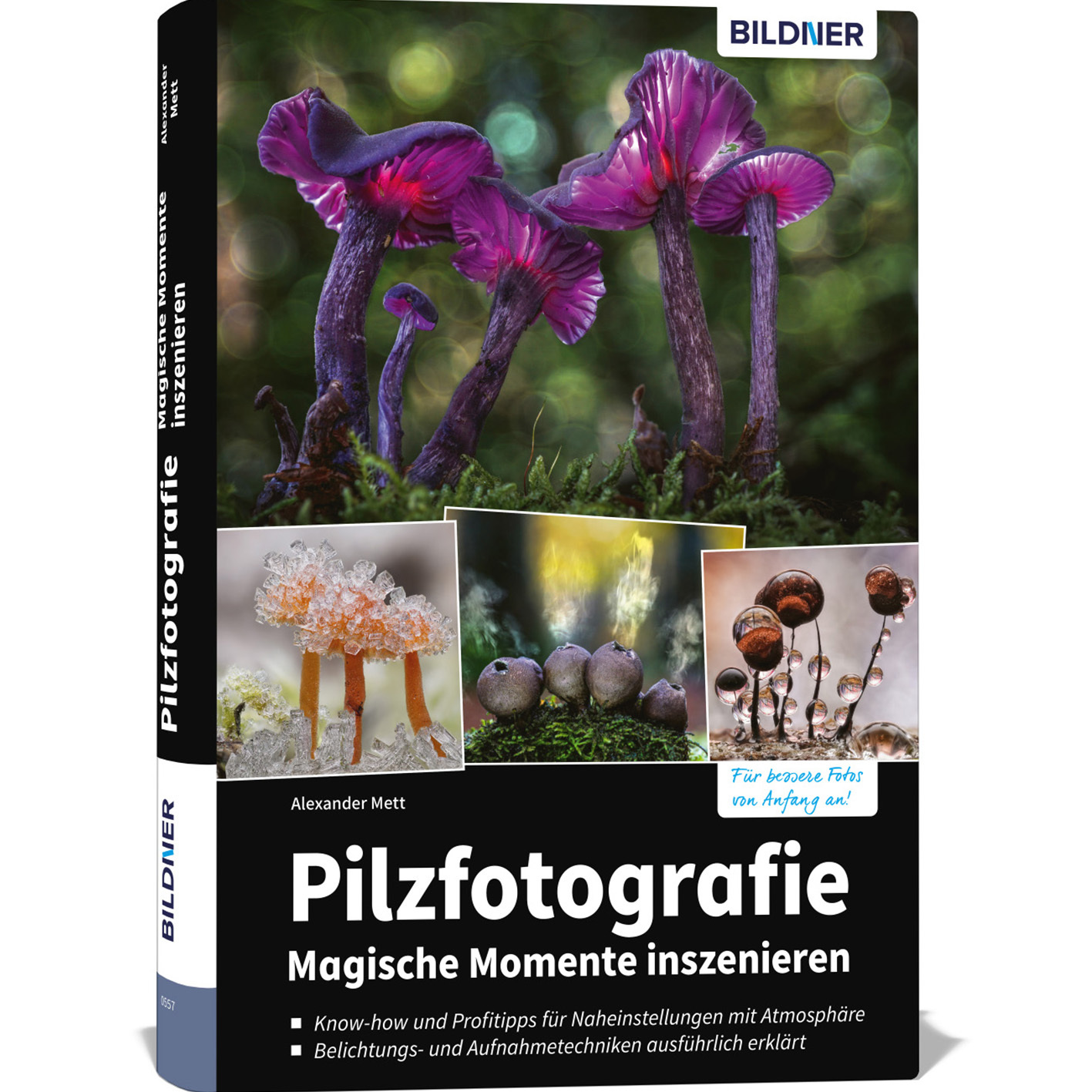Mushroom Photography – Staging Magical Moments