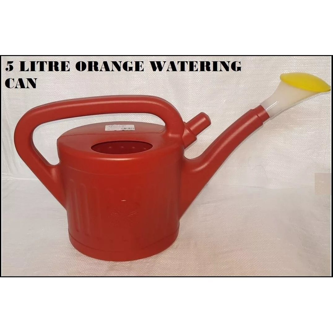 TEMU Watering Can With Rose Head Indoor Outdoor Plants Watering Pot With Handle