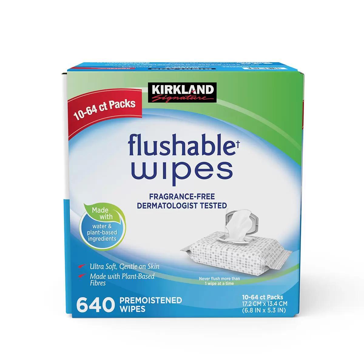 TEMU Signature Flushable Wipes Pack Of 640 Count