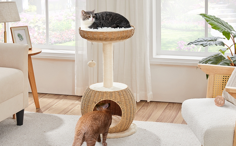 Arbre à chat en osier Tour pour chat en peluche Design moderne avec cachette ronde Panier supérieur Griffoir en sisal Jouet