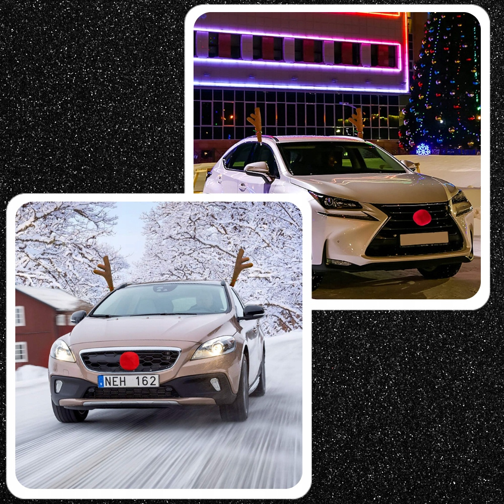 Rogi renifera na samochodzie