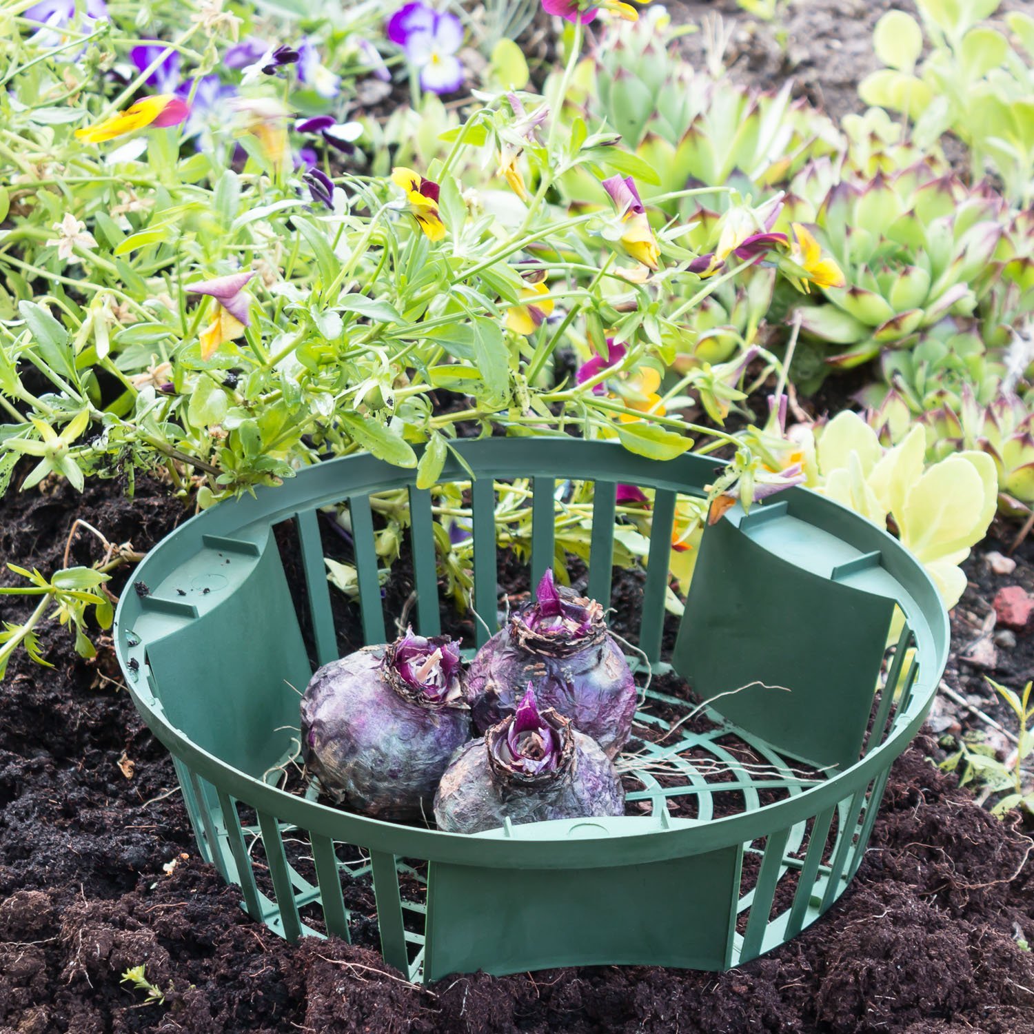TEMU Basket Planter Cover For Planting Onions And Flower Bulbs, 21.5 Cm
