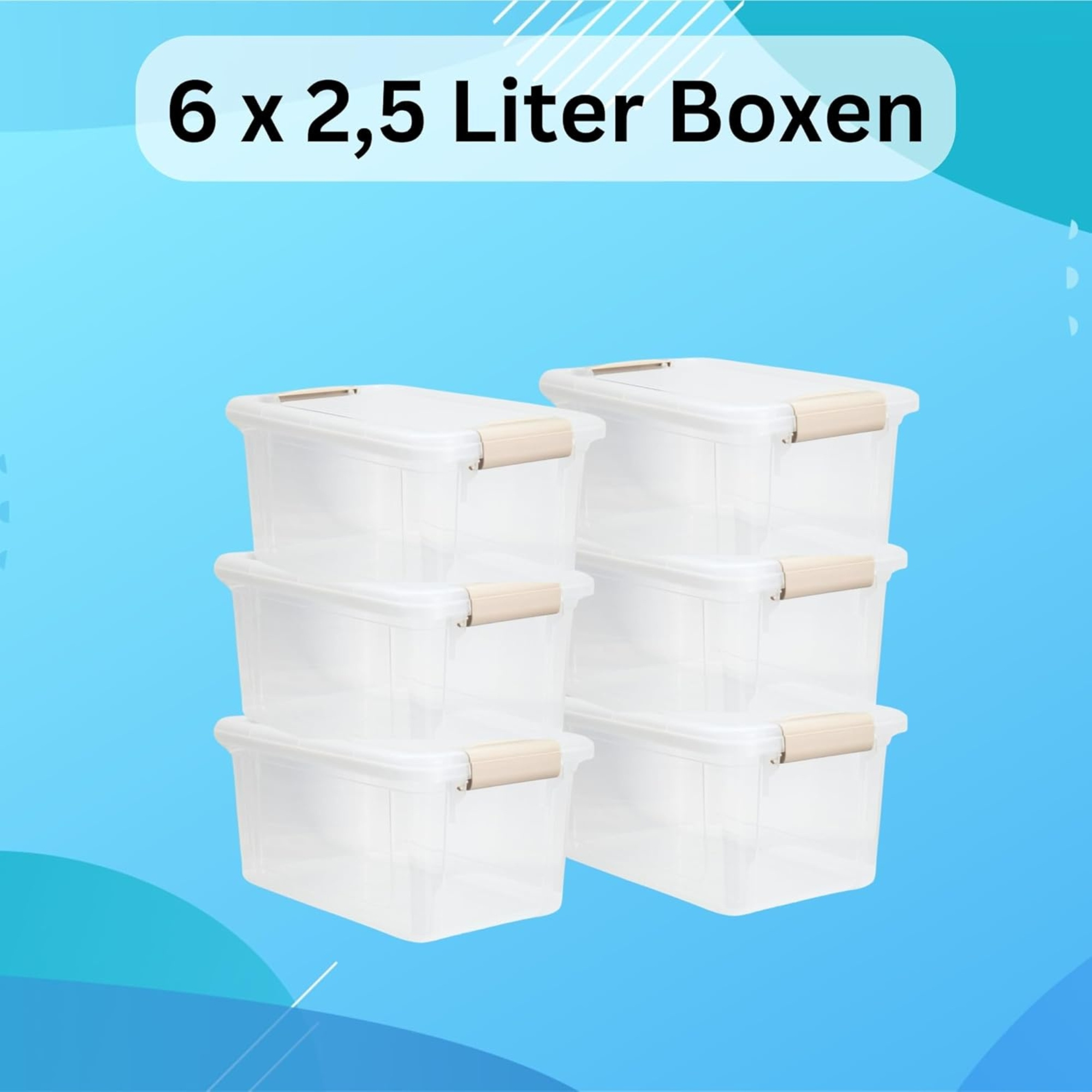 TEMU 6er Set Aufbewahrungsboxen mit Deckel mit 2,5 Liter Volumen , Plastik Boxen stapelboxen transparent mit Klickverschluss, stapelbar / ideal für