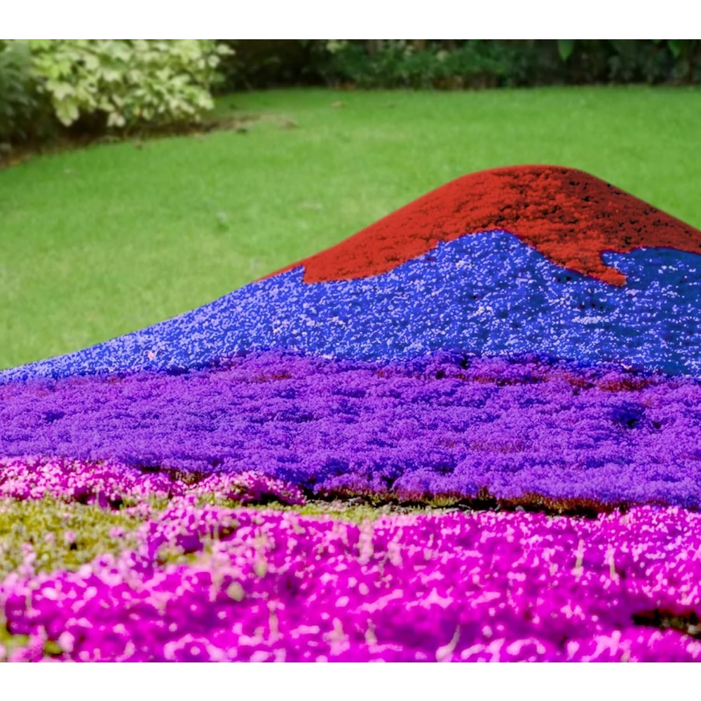 TEMU 999 Mixed Thyme Seeds, Thyme Ground Cover Plant Seeds For Outdoors