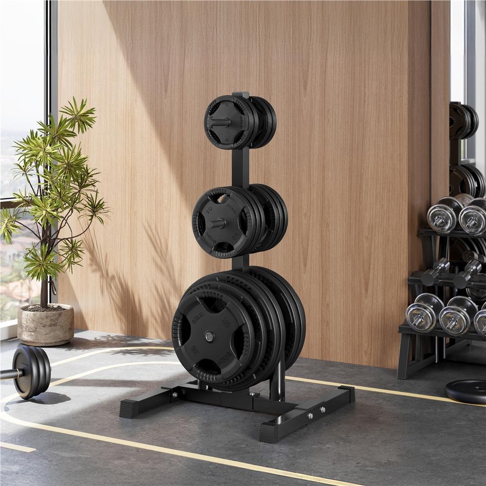 E-shop Costoffs 6 Stangen Gewichtsständer Hantelscheibenständer Hantelbaum Hantelständer Scheibenaufnahmen Scheibenständer für Zuhause Fitnessstudio