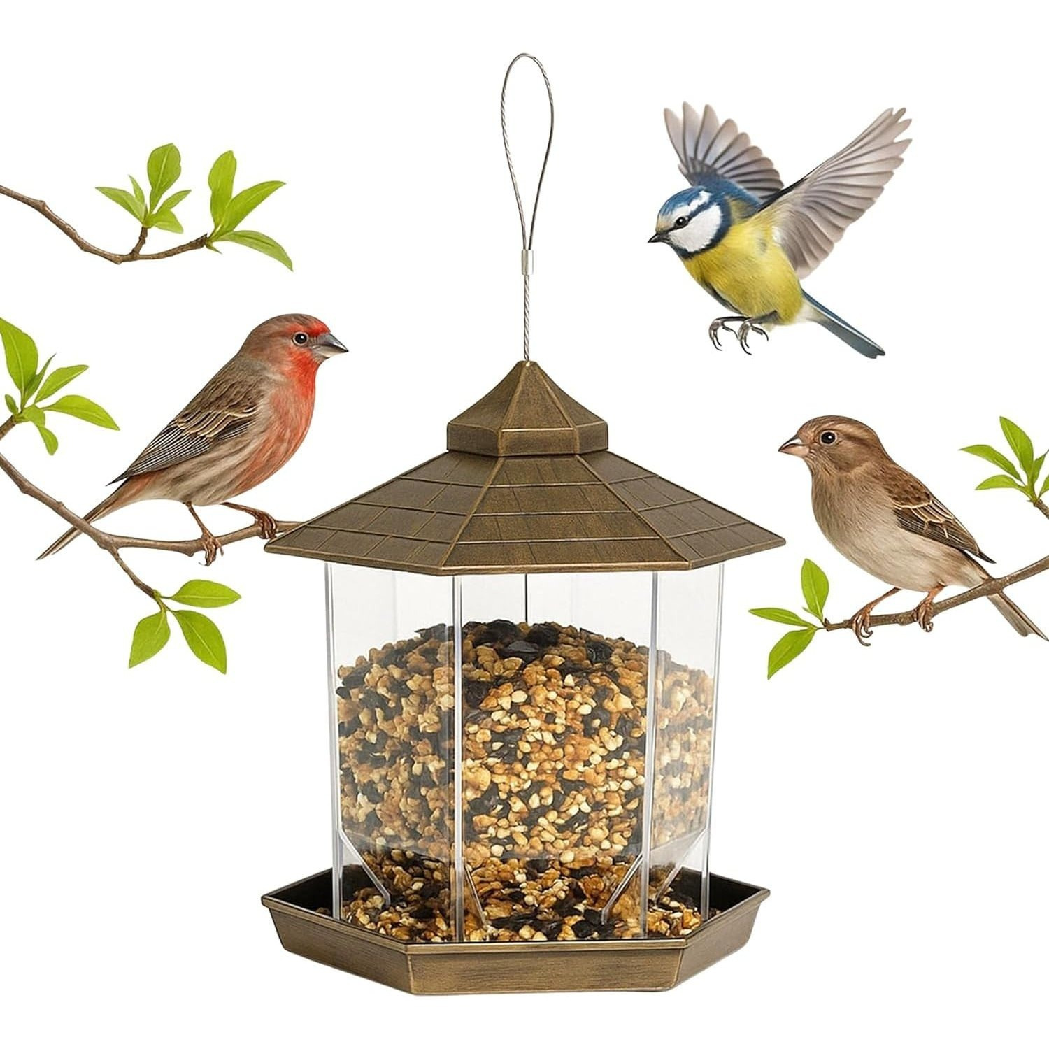 TEMU Globrite Hexagon Bird Feeder Garden Ornaments - Bird Seed Feeder, Hanging Bird Feeder | All Weather Bird Feeders Hanging Station | Bird Feeders