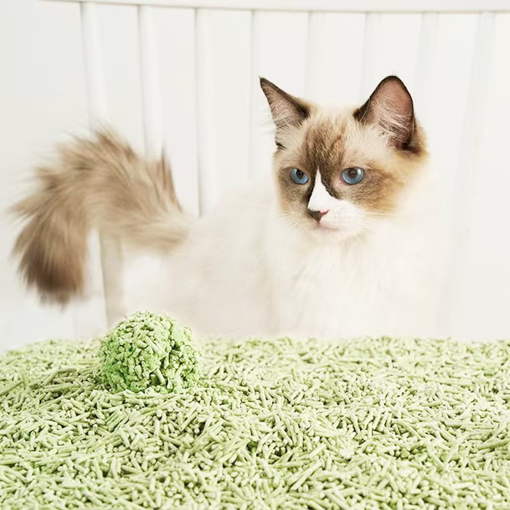 TEMU Arena Aglomerante para Gatos Arena de Tofu 2kg para Gatos sin Polvo se Lanza en el Inodoro Olor Green Tea BPS-15457