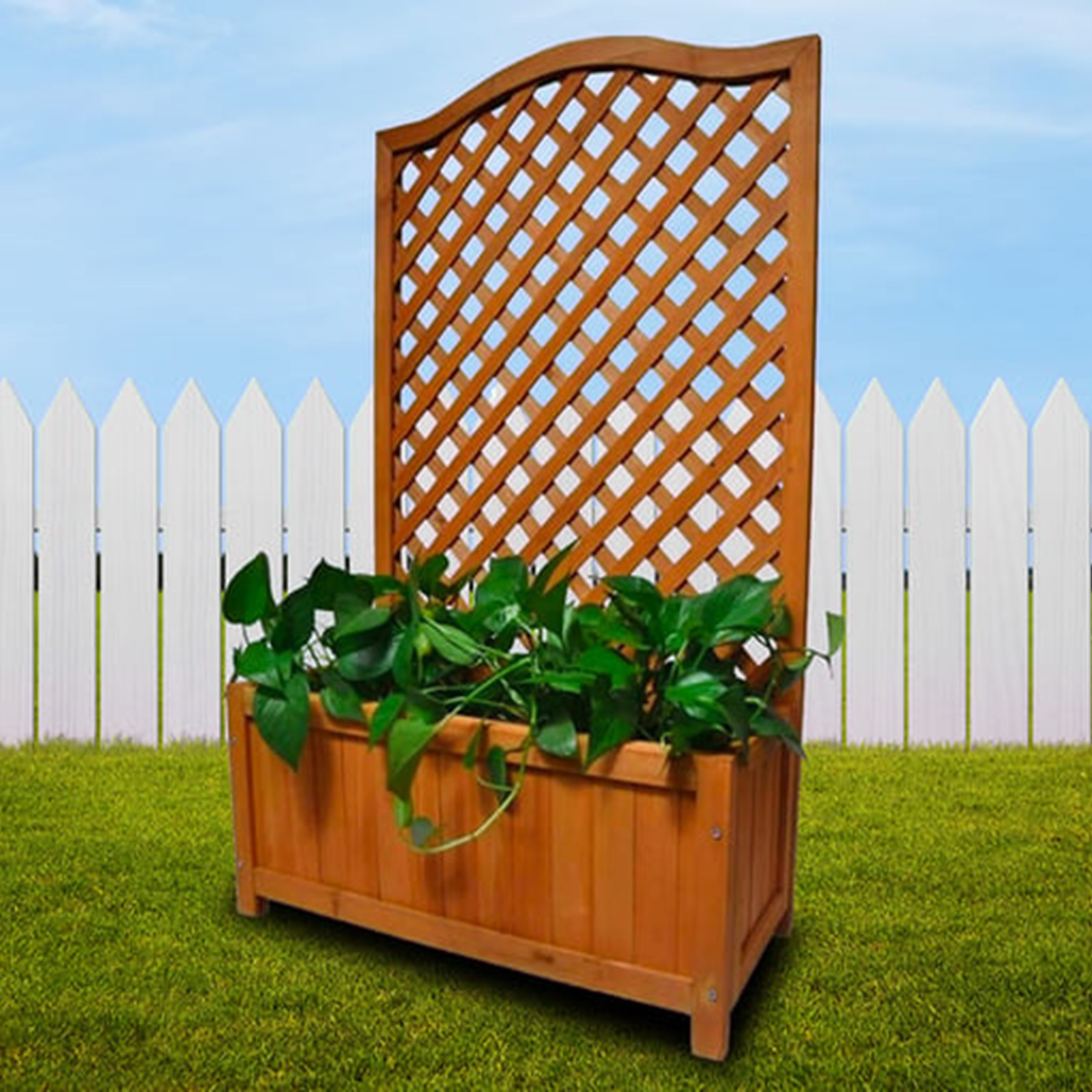TEMU Wooden Planter With Lattice For Vines Garden Climbing Flower Plant Pot Trellis