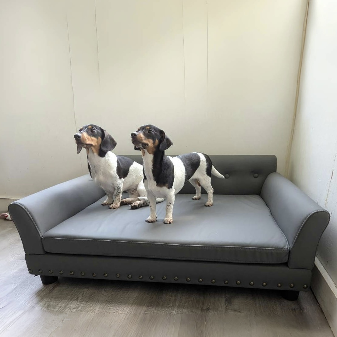 Image of Luxury Pet Sofa Bed For , Raised Dog Bed, Pet , Dog Lounge Bed, Microfiber Silicone Leather Upholstered Bed, With Removable Cushion, For Medium To Large Dogs