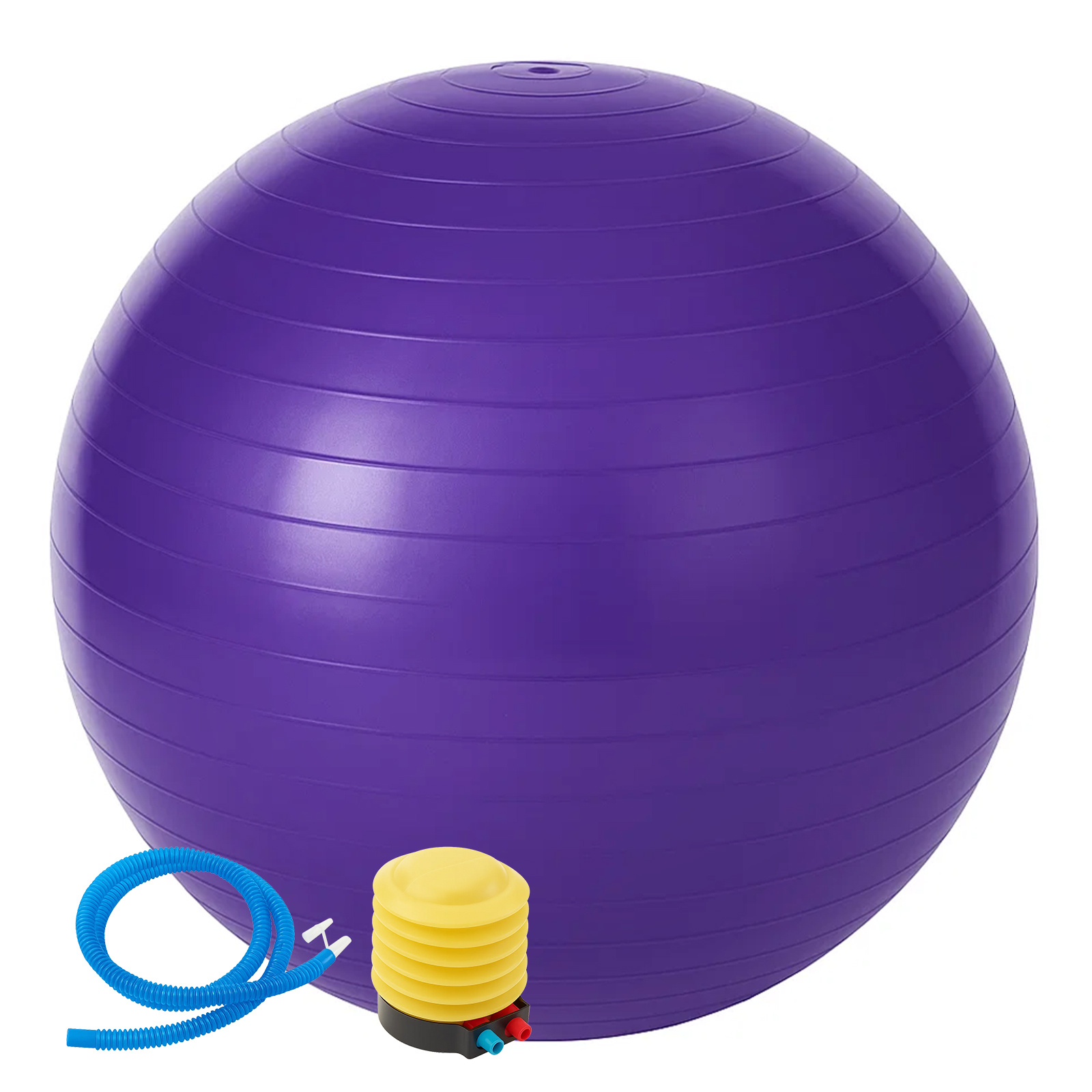 TEMU 65cm Exercise Ball Yoga Anti Slip Foot Pump