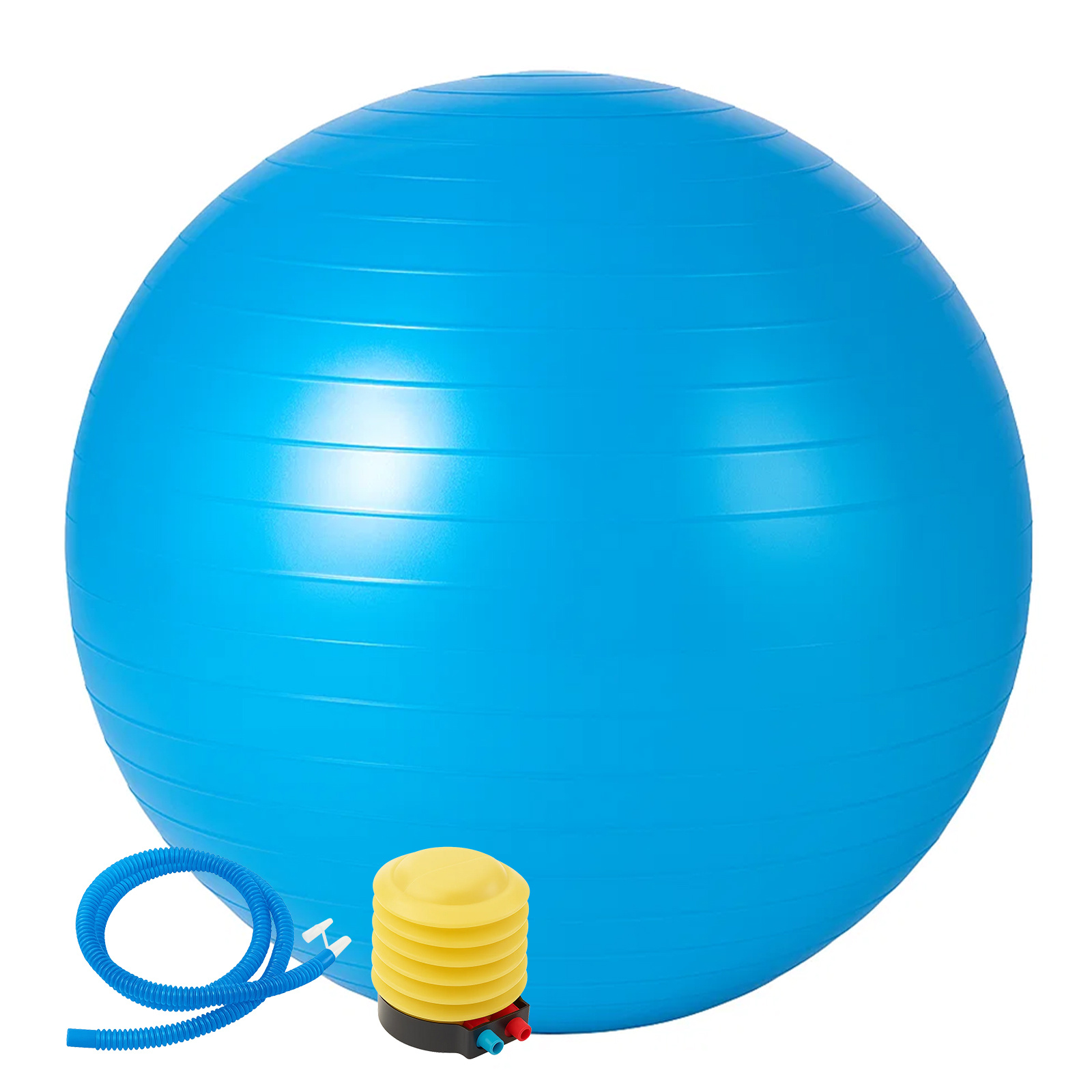 TEMU 65cm Exercise Ball Yoga Anti Slip Foot Pump
