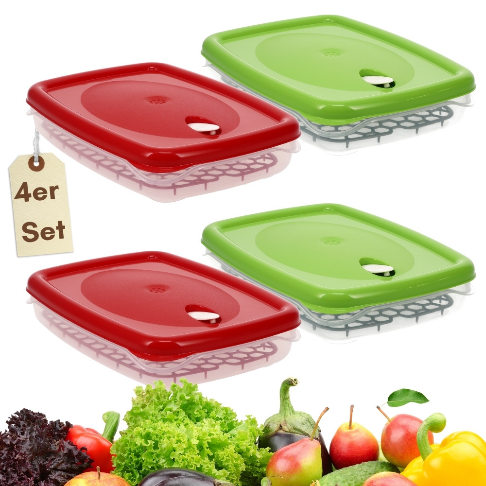 4-piece Set Food Storage Containers With Lids, Draining Rack, Kitchen Steam Vent, Airtight Plastic Containers, 2.5l Freezer Containers