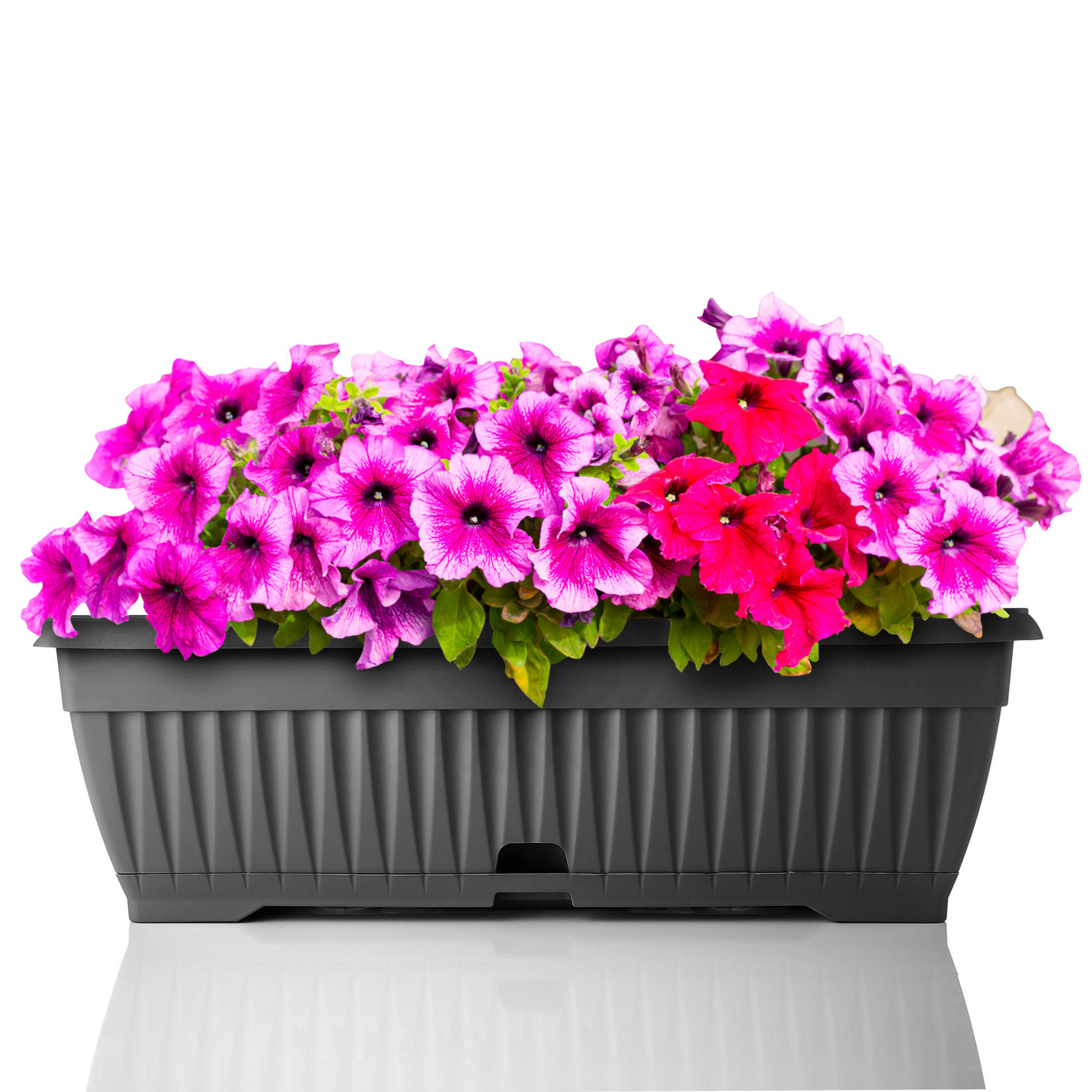 Image of Bigdean Flower Box With Removable Saucer - 50 Cm Long Made Of Shatterproof Plastic - Balcony Planter With Water Reservoir Suitable For Indoor & Outdoor Use -