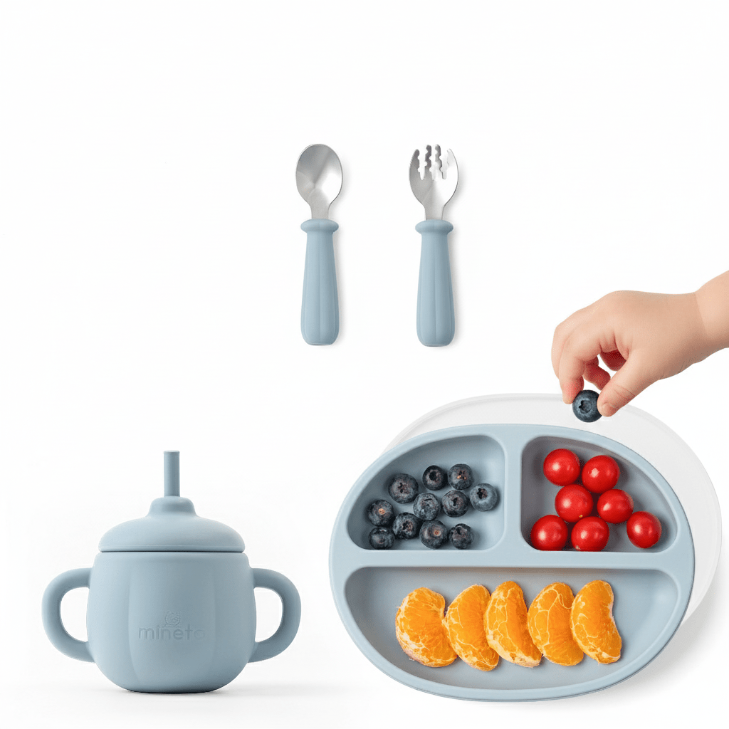 TEMU Coffret Repas Bebe Design, 5 Pièces : Assiette Bebe Ventouse Antidérapante, couvercle assiette, tasse d'apprentissage bebe, set couverts bebe,