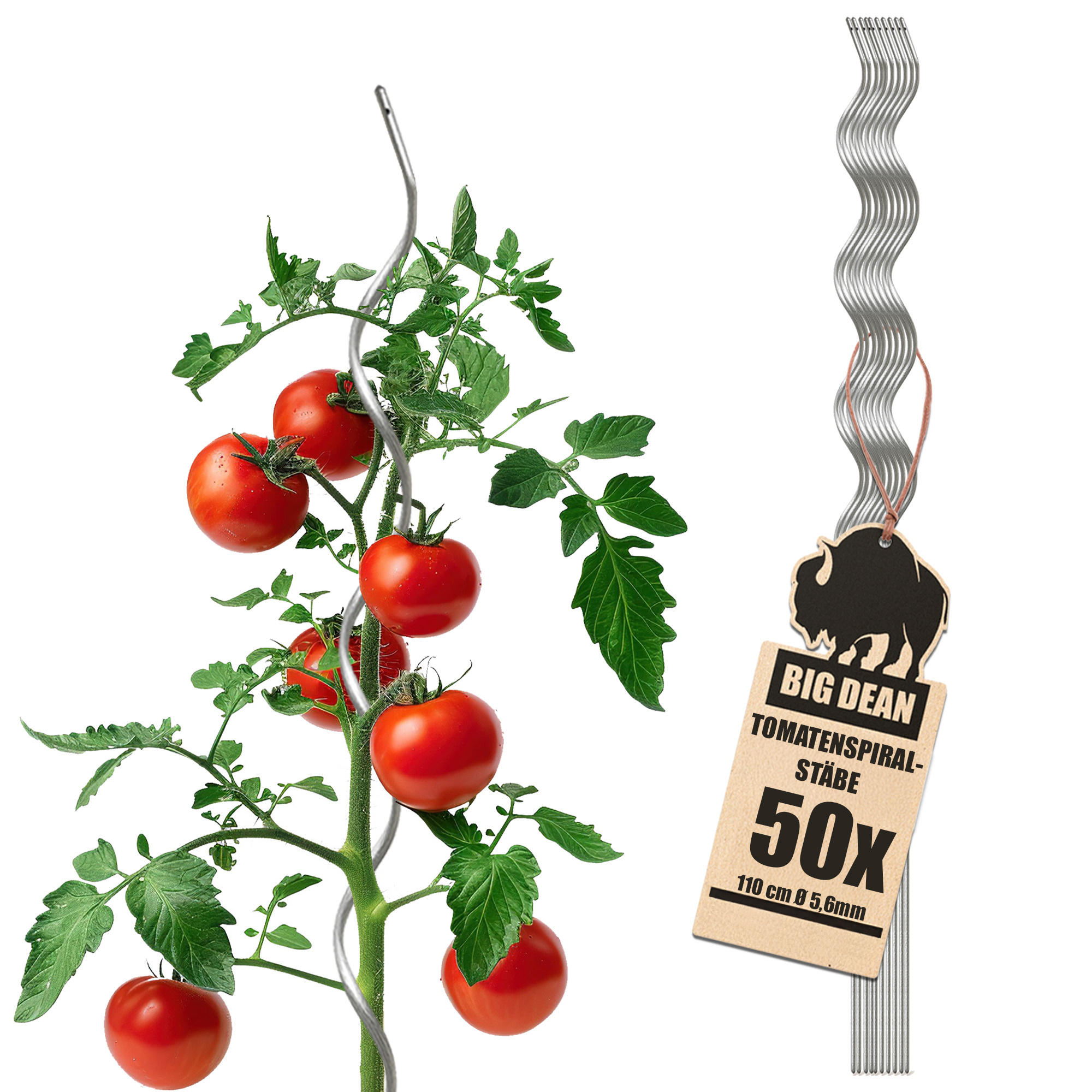 Bigdean 50 Tomato Spiral Stakes, 110cm Fully Galvanized, Professional Tomato Plant Support Stakes For Vines