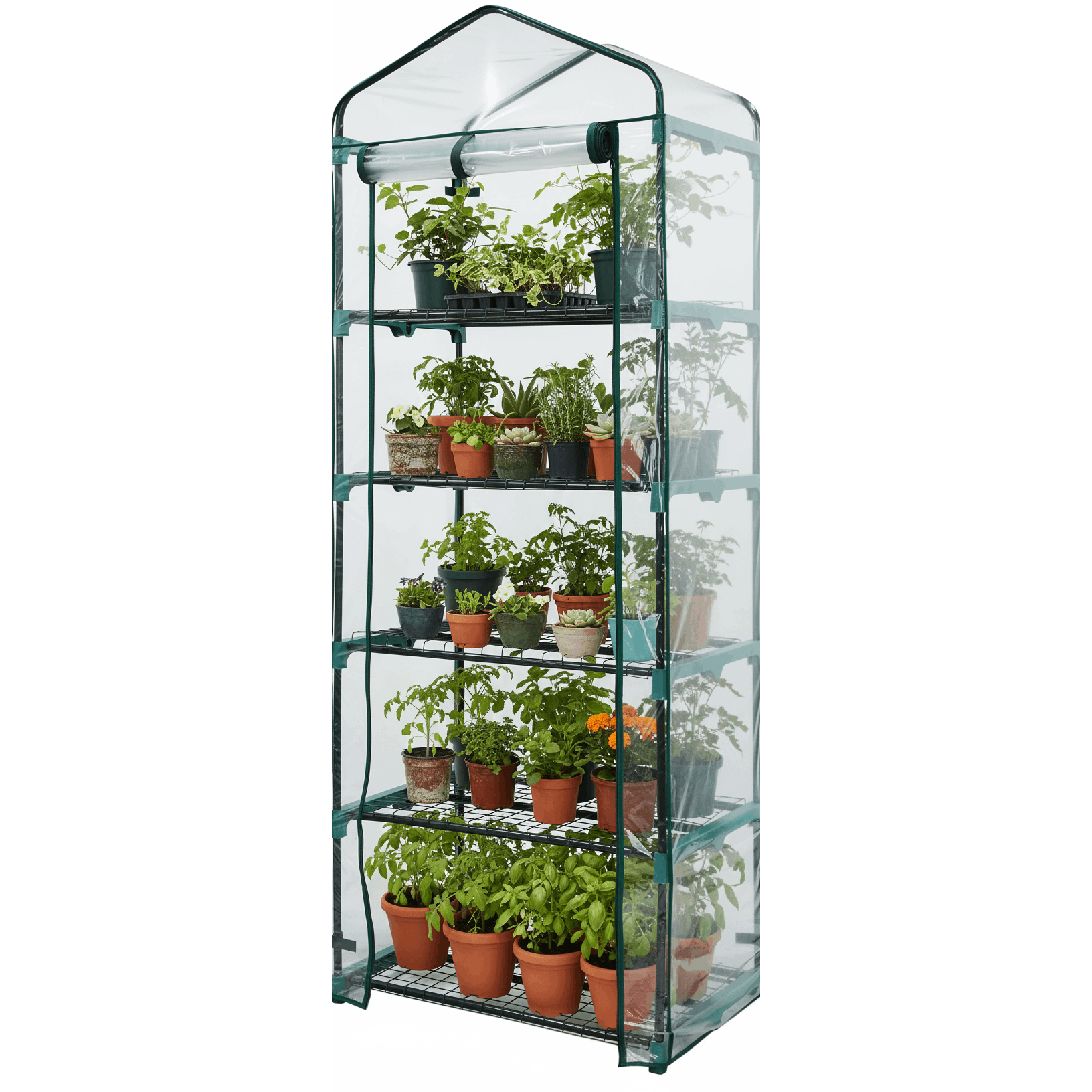 TEMU 193 X 49 Cm - 5 Tier Greenhouse Compact Green House With 5 Shelves And Weatherproof Pvc Plastic Cover / For Garden And Outdoor Roll Up Zip Panel