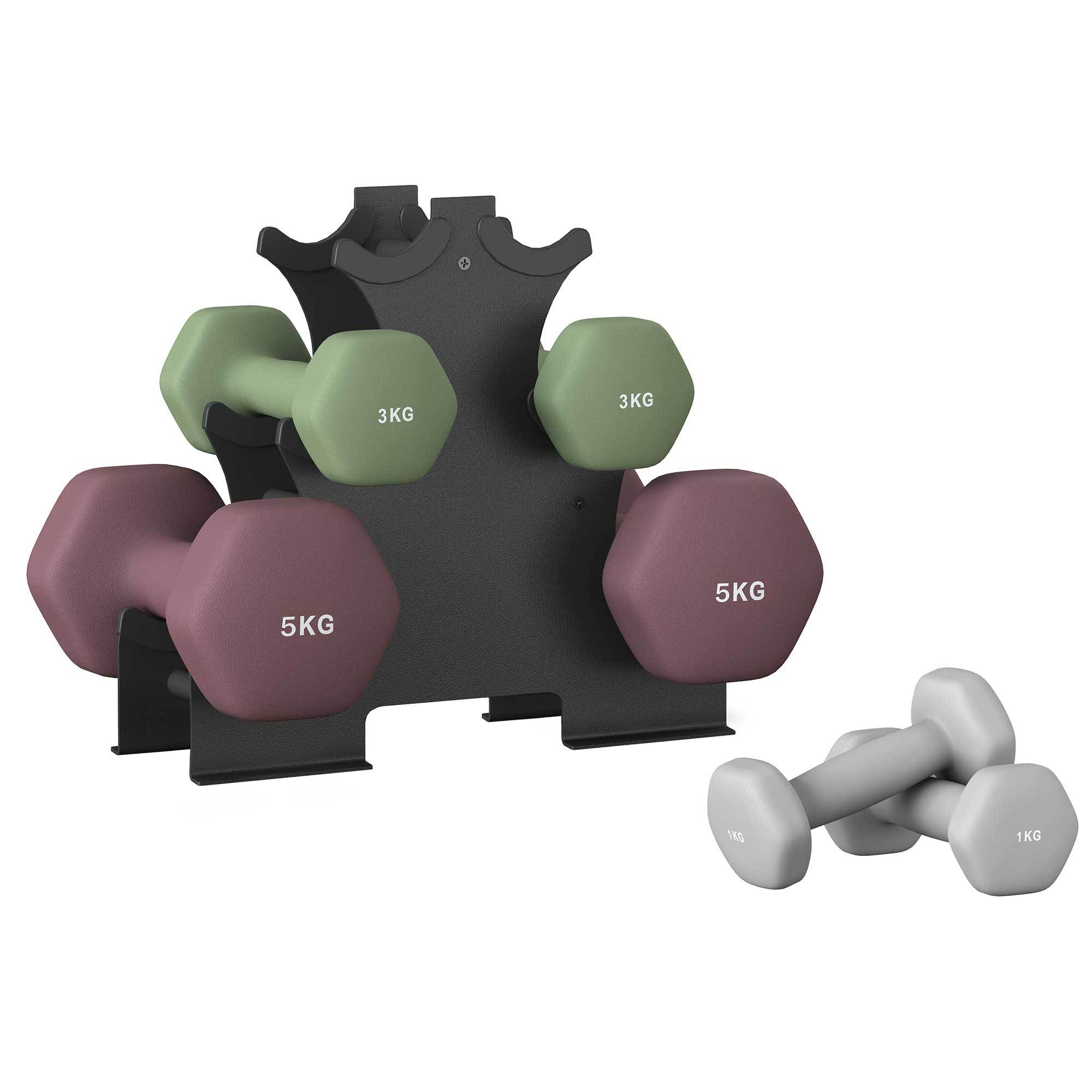 E-shop Kurzhantel Set, 2 x 1 kg, 2 x 3 kg, 2 x 5 kg, Hanteln mit Hantelständer, Neopren-Beschichtung, hellgrau, grün und rot