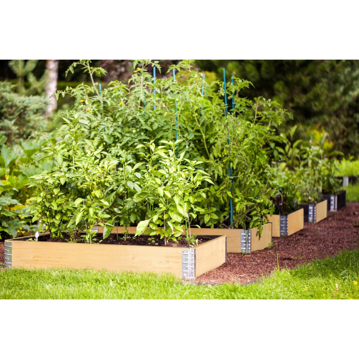 Image of Bigdean Pallet Frame For Raised Bed 80 X 60 X 20 Cm = Half - Wooden Frame Foldable, Stackable & - Ideal For Plants, Flowers, Fruit, Vegetables & Herbs