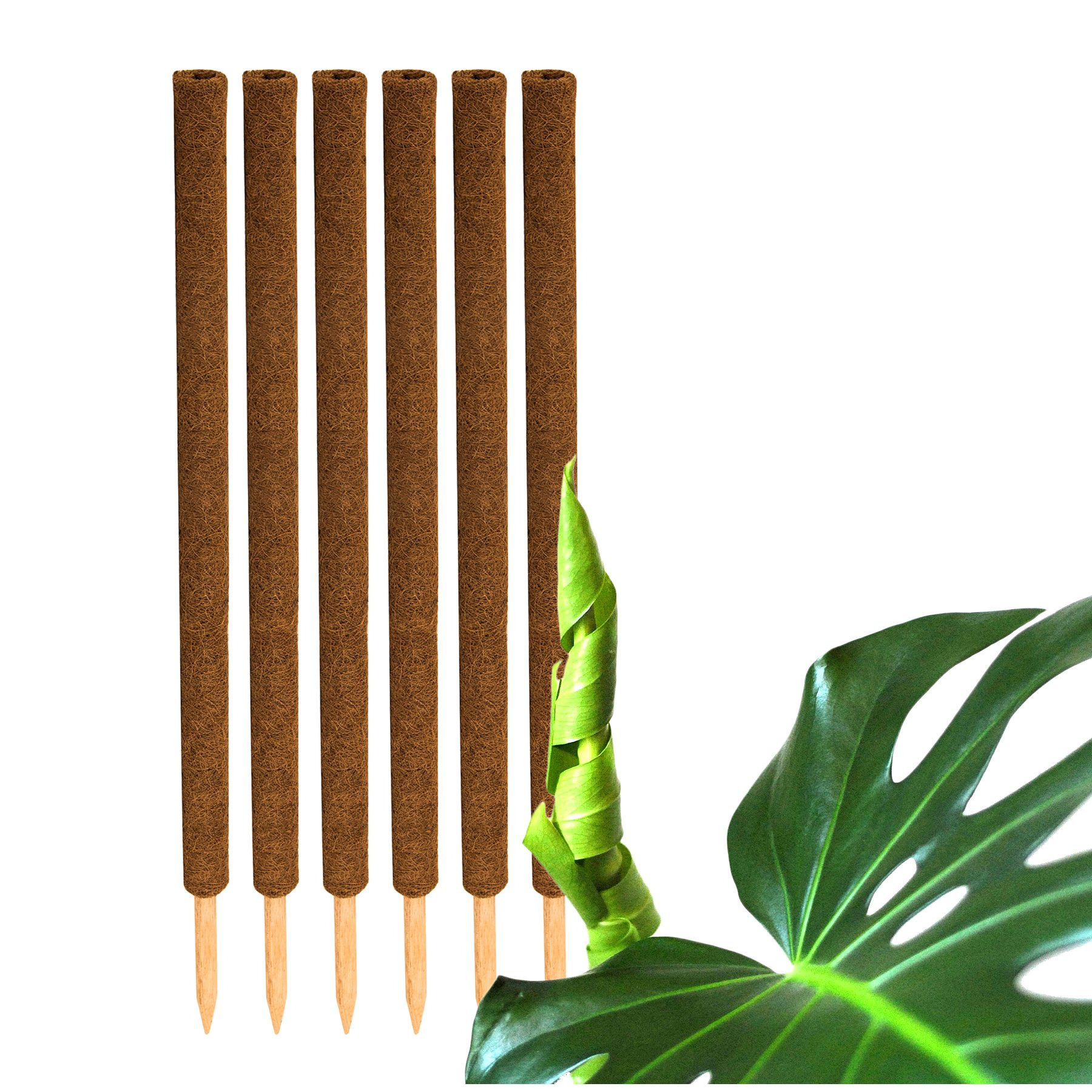 Image of Bigdean 6pcs Set Of Coconut Plant Stakes 110 Cm - Monstera Plant Support Stakes Moss Stakes Plant Stakes Coconut Stakes For Plants - Made Of Natural Coconut Fiber - Extendable