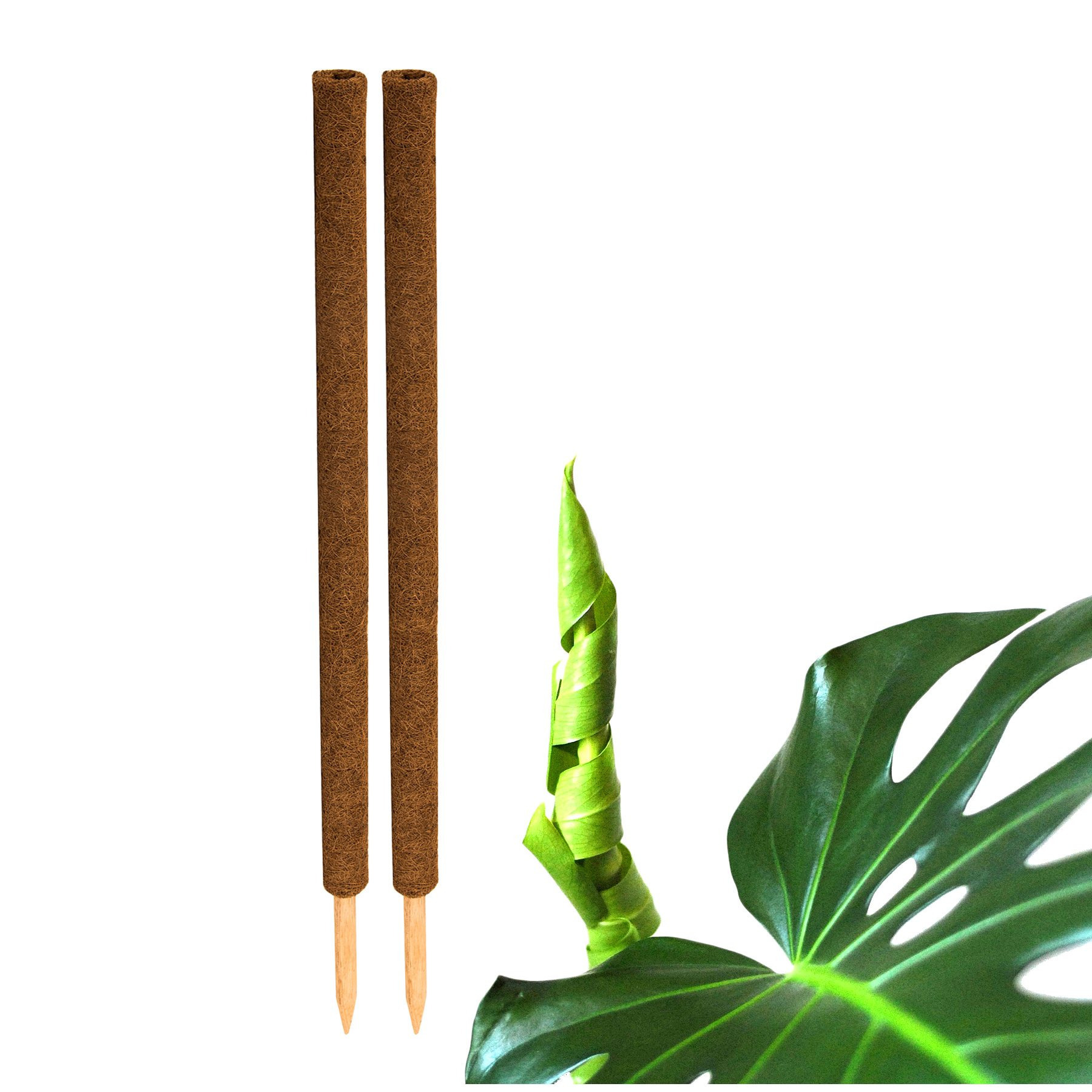 Image of Bigdean 2-pack Coconut Plant Stakes, 110 Cm - Monstera Climbing Support, Plant Stakes, Moss Poles, Coconut Fiber Stakes For Plants - Made Coconut Fiber - Extendable