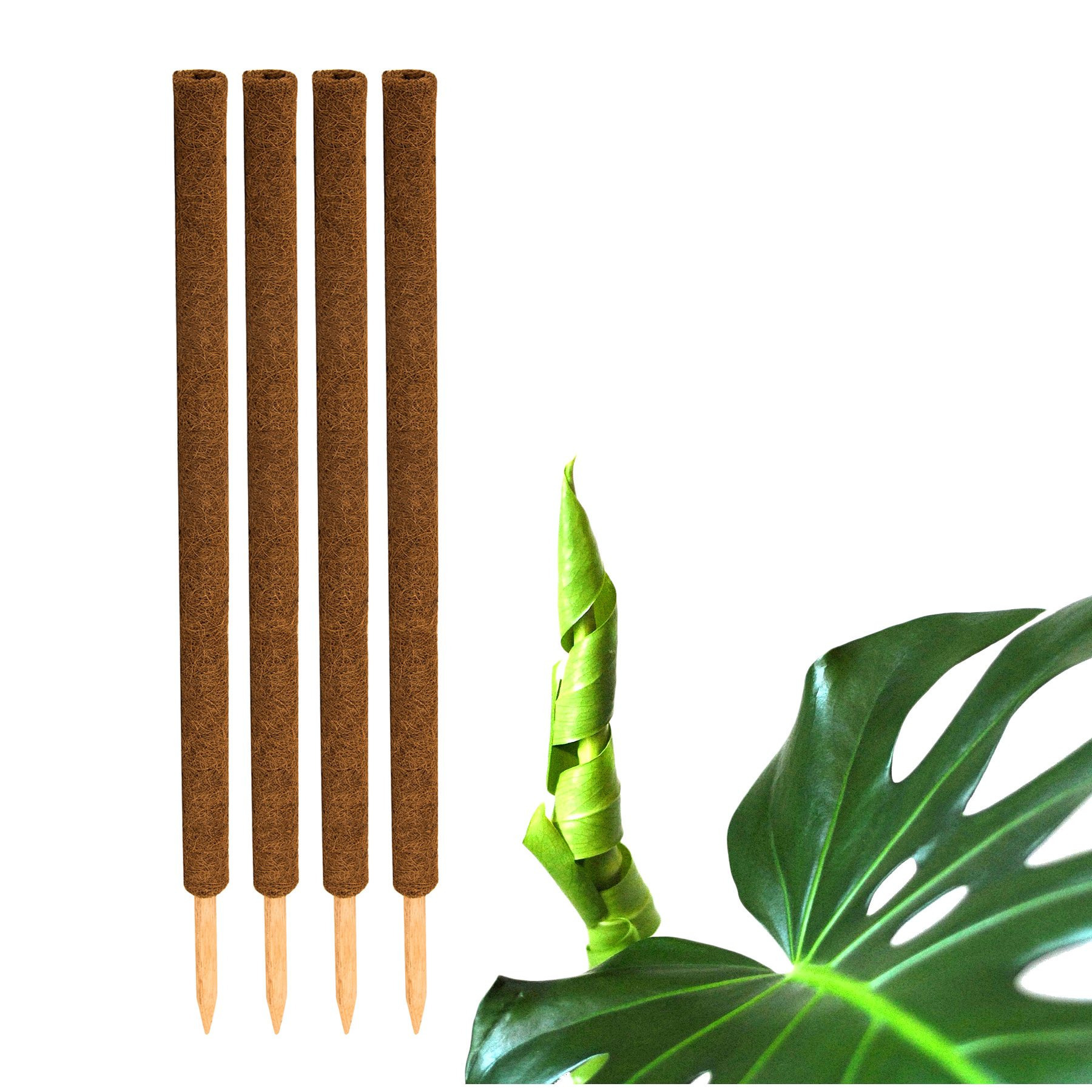 Bigdean 4pcs Set Of Coconut Plant Stakes 110 Cm - Monstera Plant Support Stakes Moss Stakes Plant Stakes Coconut Stakes For Plants - Made Of Natural Coconut Fiber - Extendable