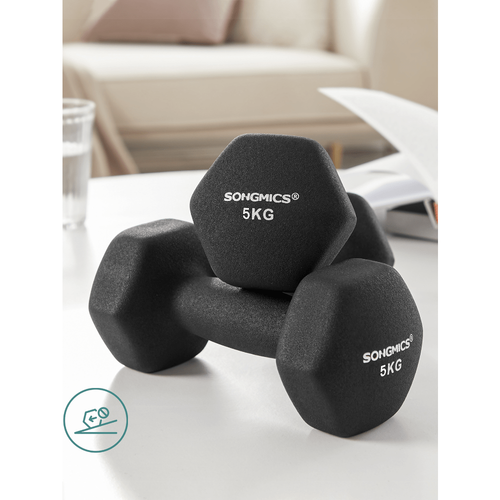 TEMU Set Of 2 Dumbbells, Hexagonal Dumbbells Pair, Home Workout, Fitness Training Exercise