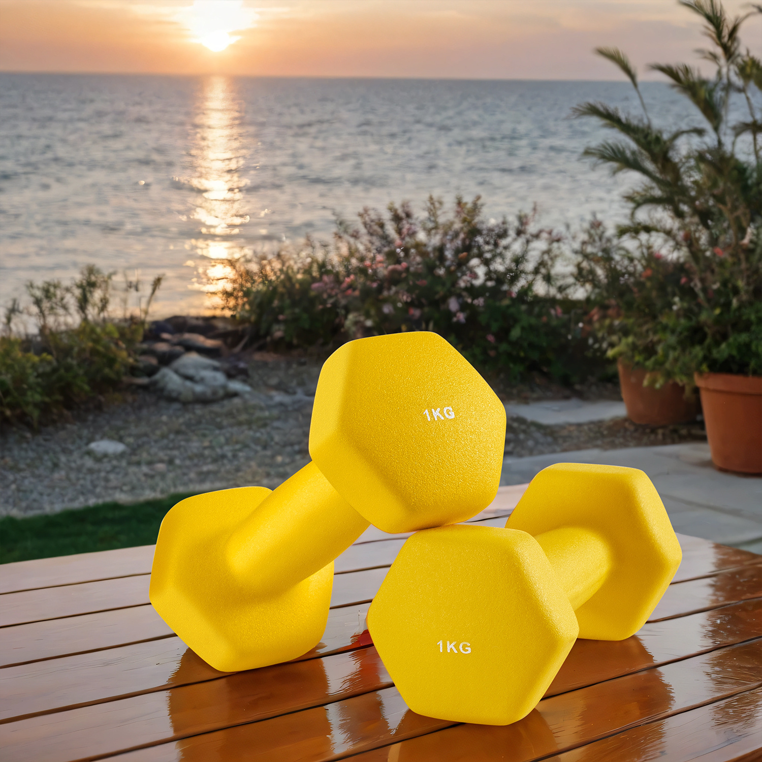 Dumbbells, 2pcs Set, 2 X 1 Kg, Dumbbell Set, Short Dumbbells, Hexagon, Strength Training, Workout, For Home